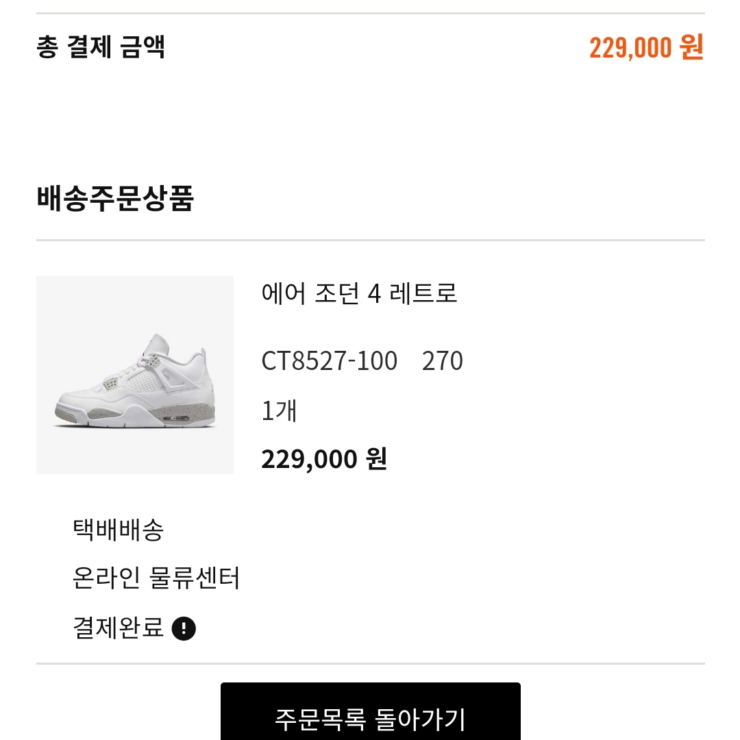 Jordan 4 Retro Tech White 착용 스타일