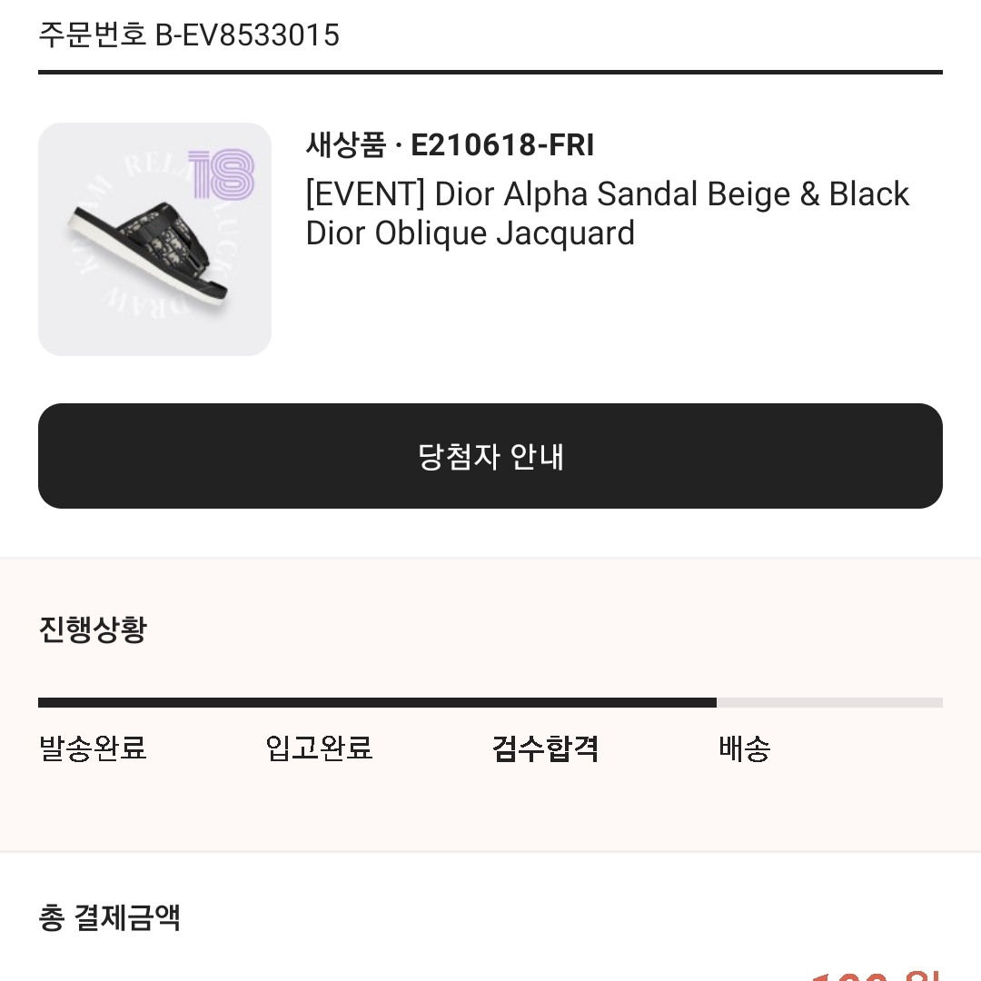 Dior Alpha Sandal Beige & Black Dior Oblique Jacquard 착용 스타일