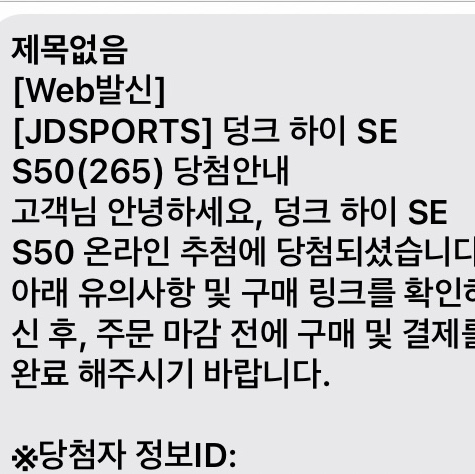 Nike Dunk High SE First Use Sail 착용 스타일