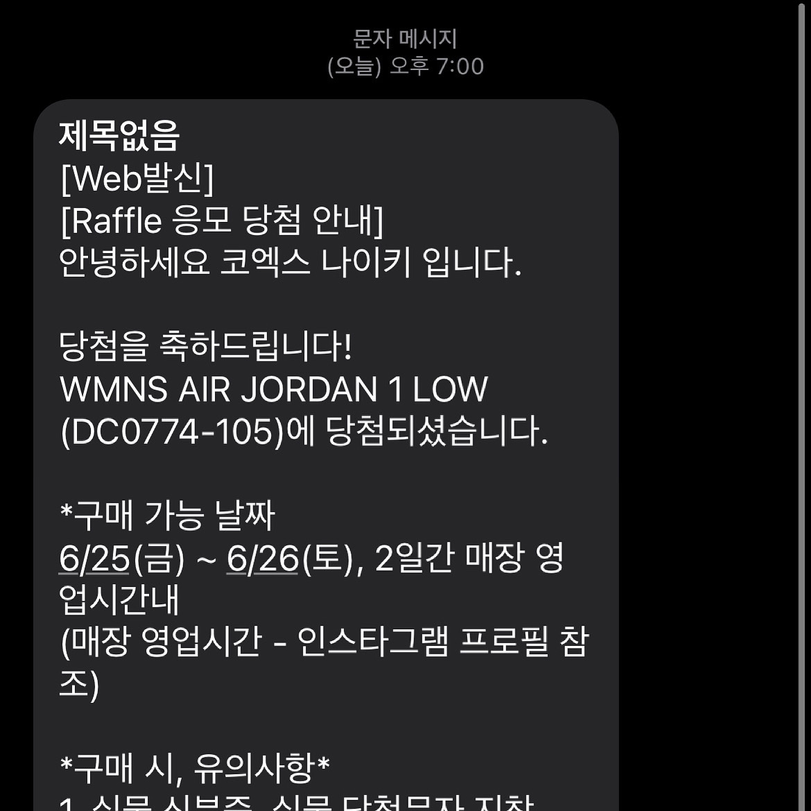 (W) Jordan 1 Low White Wolf Grey 착용 스타일