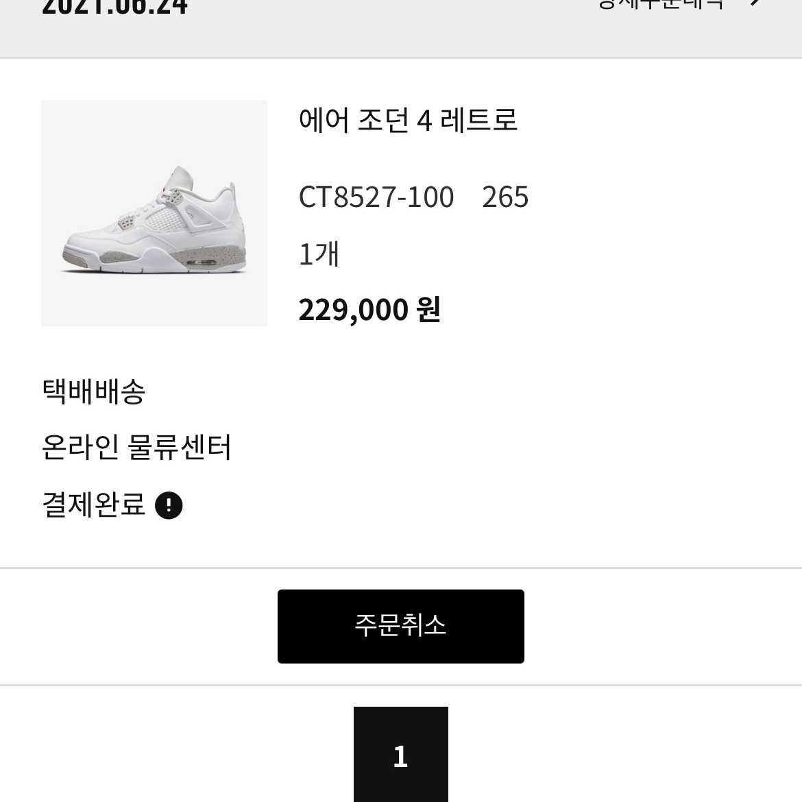 Jordan 4 Retro Tech White 착용 스타일