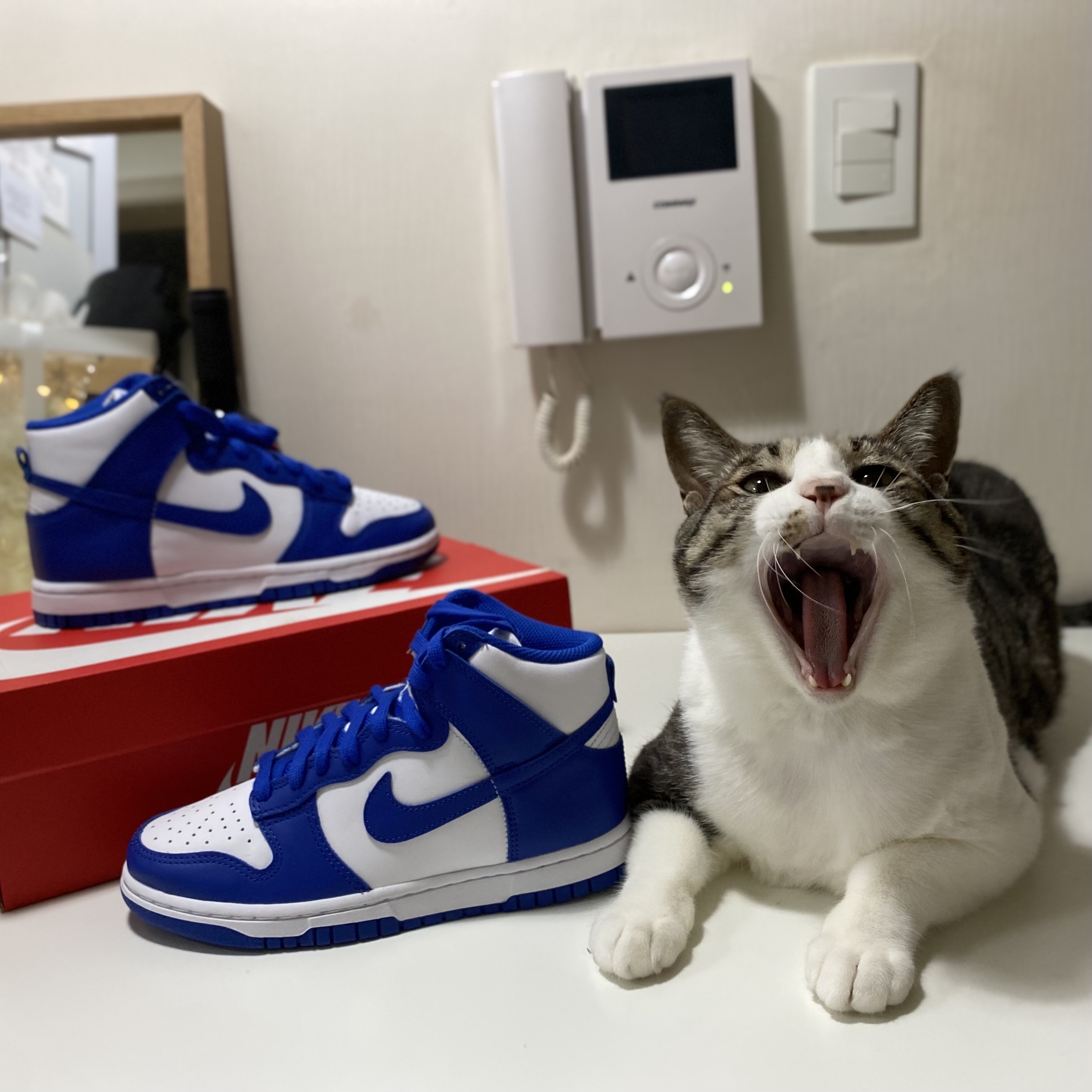 Nike Dunk High Retro Game Royal 착용 스타일 - 1