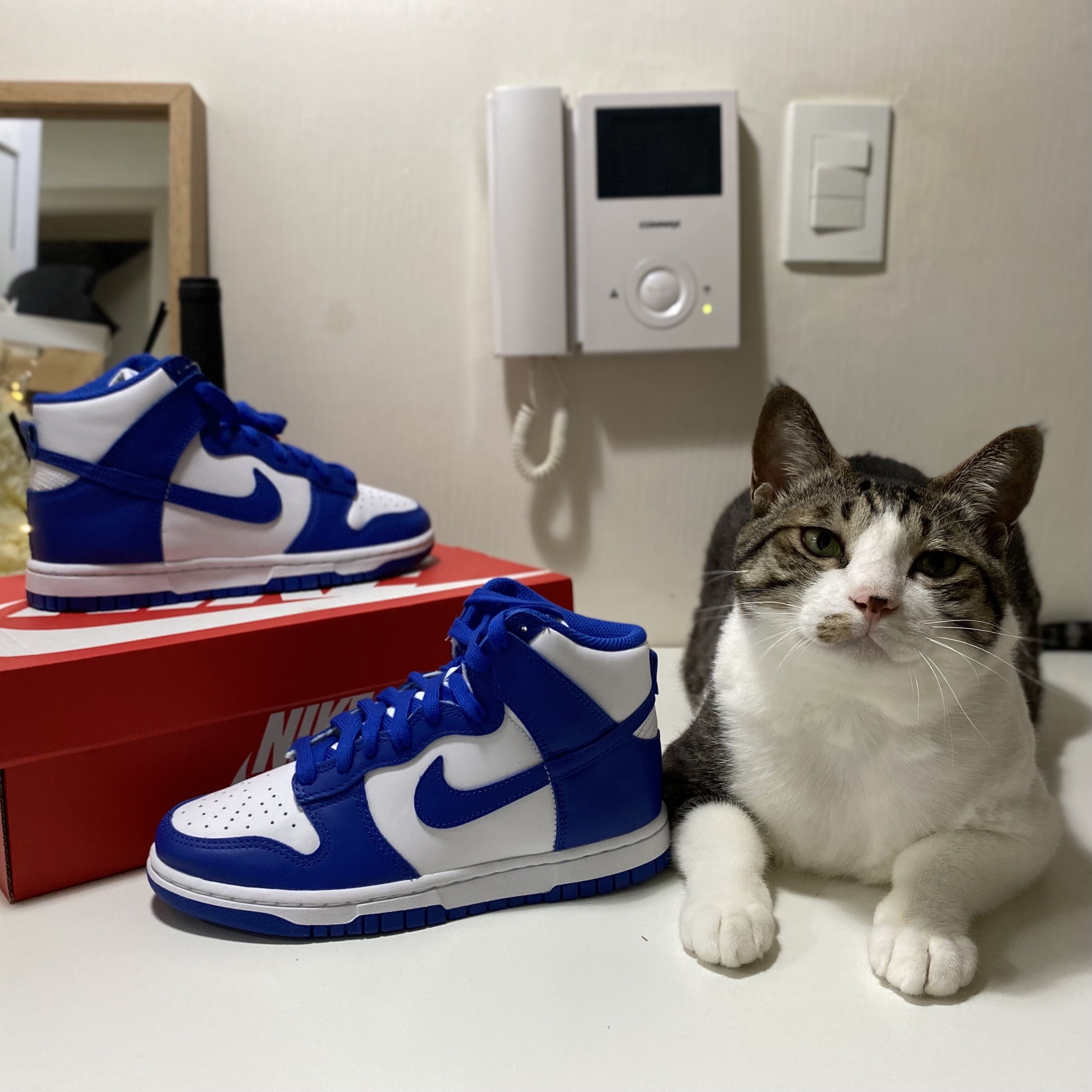 Nike Dunk High Retro Game Royal 착용 스타일 - 2