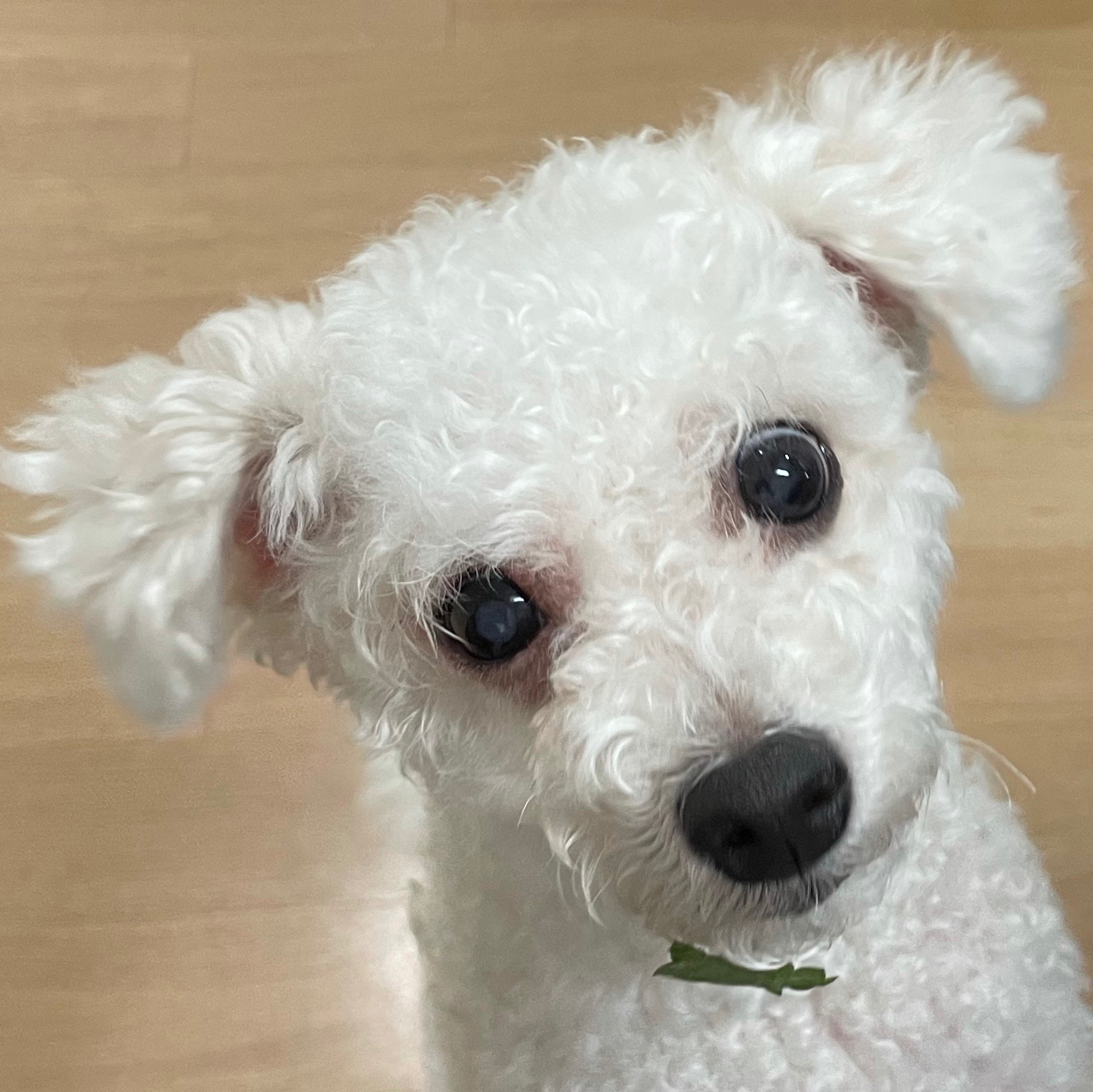 dlgur3397님의 스타일
