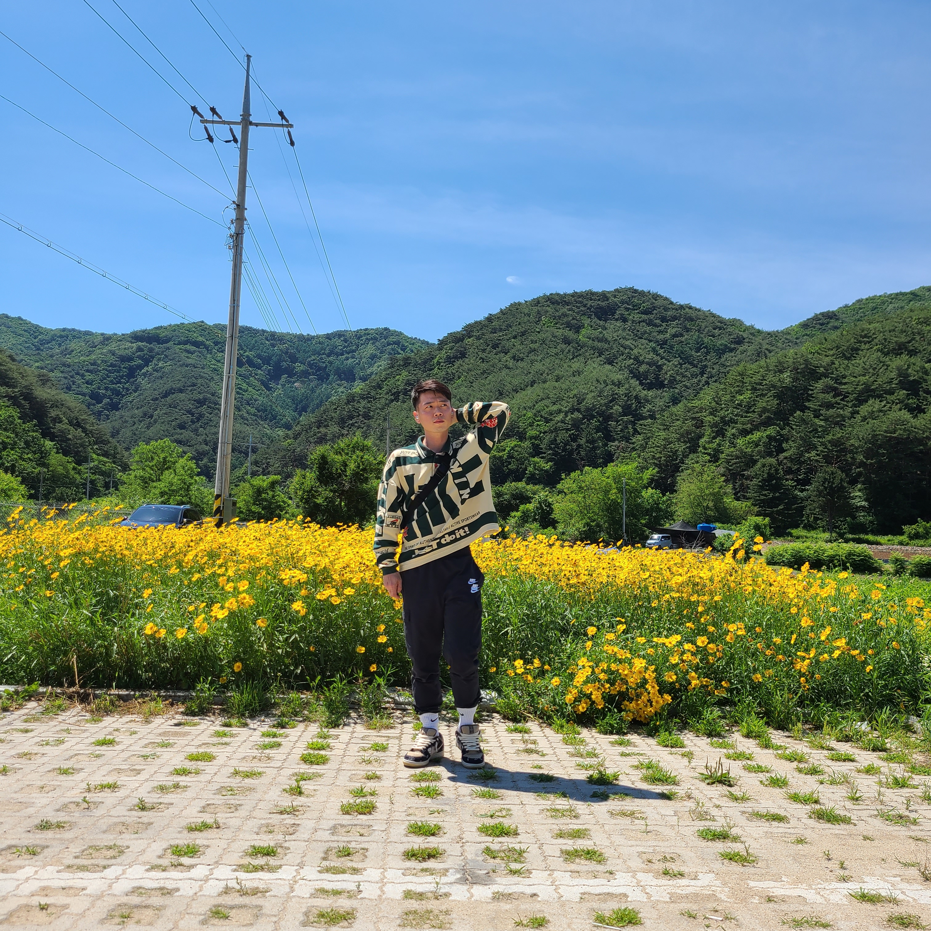 Nike x Cactus Plant Flea Market Long Sleeve Polo Natural - Asia, Nike x Travis Scott SB Dunk Low 착용 스타일