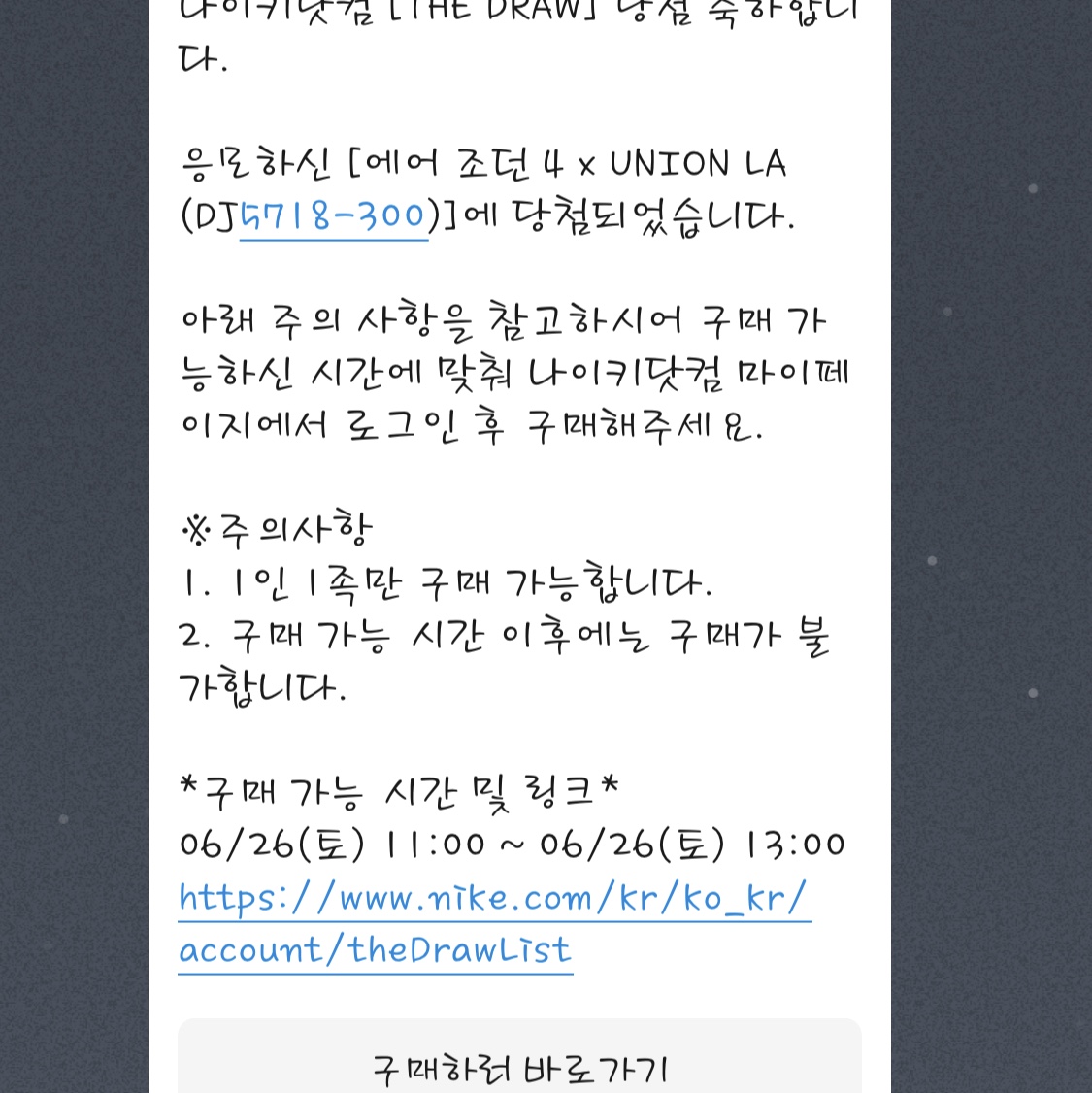 Jordan 4 x Union Retro SP Desert Moss 착용 스타일