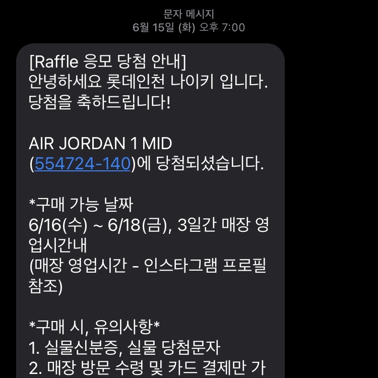 Jordan 1 Mid Racer Blue 착용 스타일