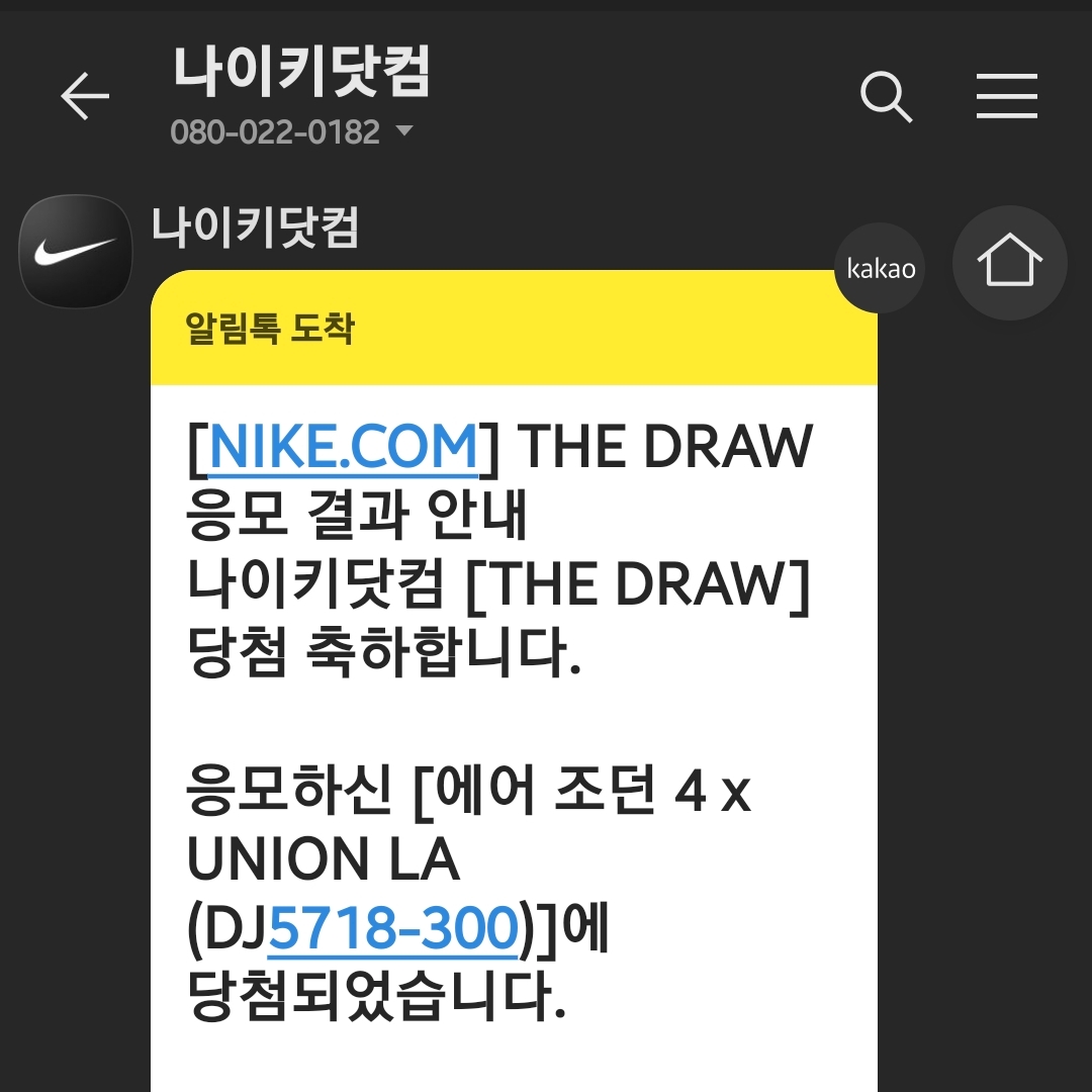 Jordan 4 x Union Retro SP Desert Moss 착용 스타일