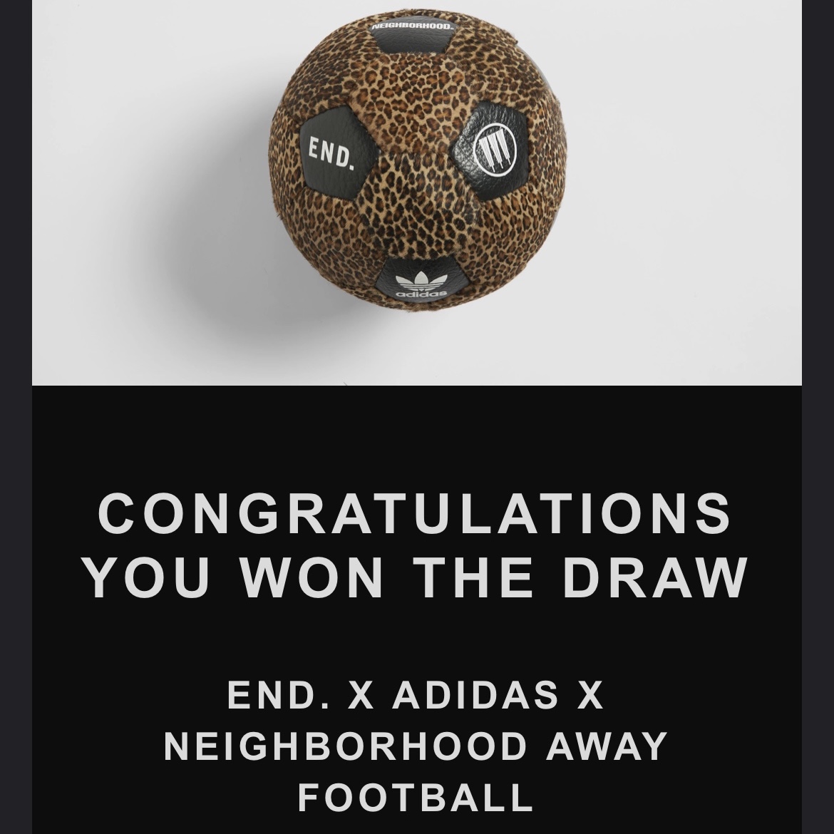 스해누님의 스타일