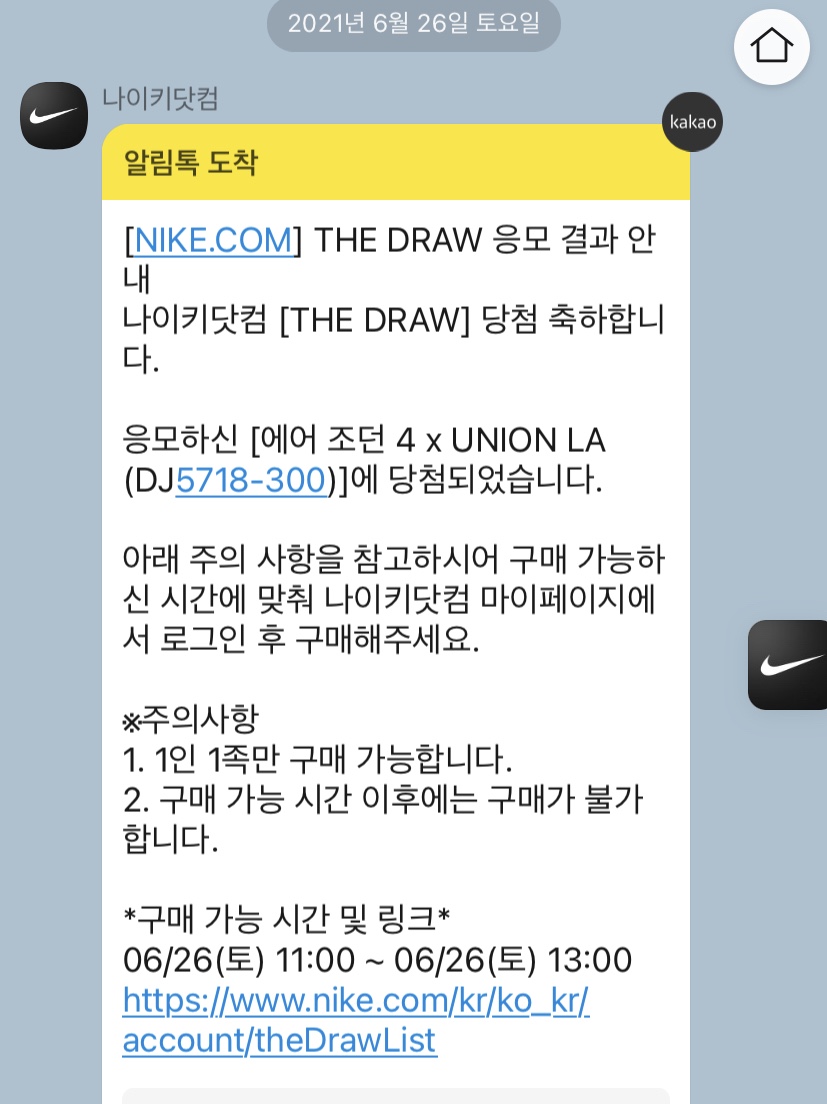 Jordan 4 x Union Retro SP Desert Moss 착용 스타일 - 2