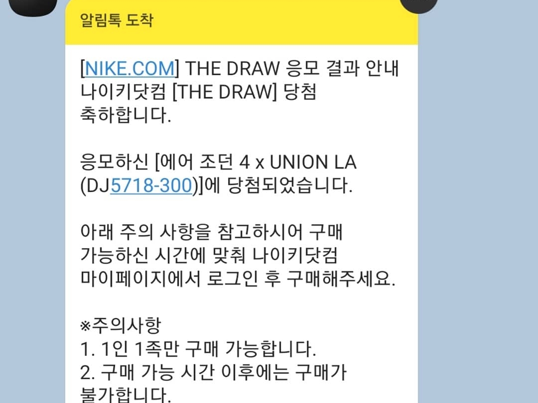 Jordan 4 x Union Retro SP Desert Moss 착용 스타일 - 2