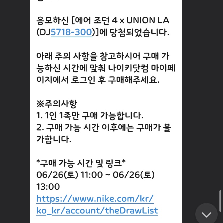 Jordan 4 x Union Retro SP Desert Moss 착용 스타일 - 1