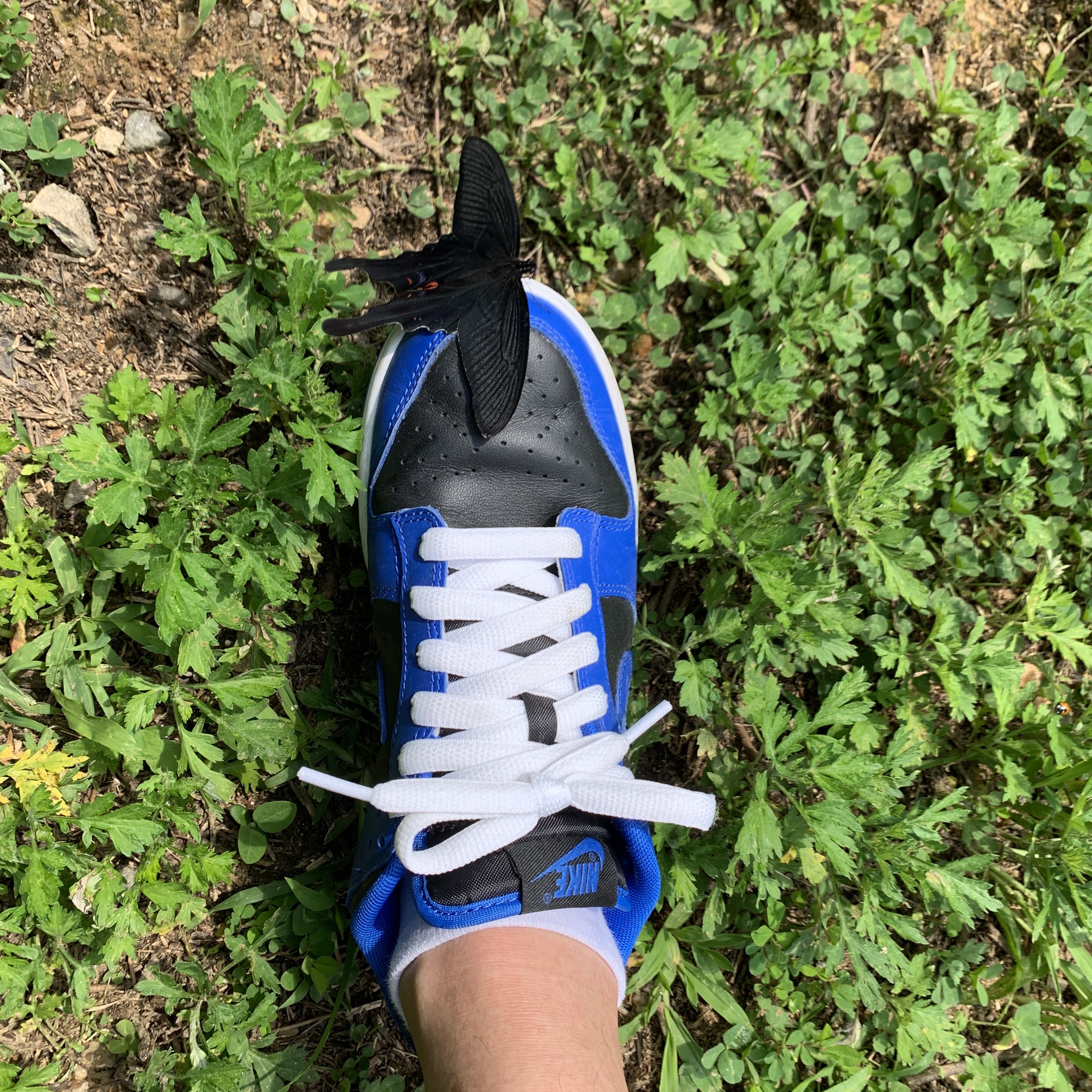 Nike Dunk Low Retro Hyper Cobalt 착용 스타일