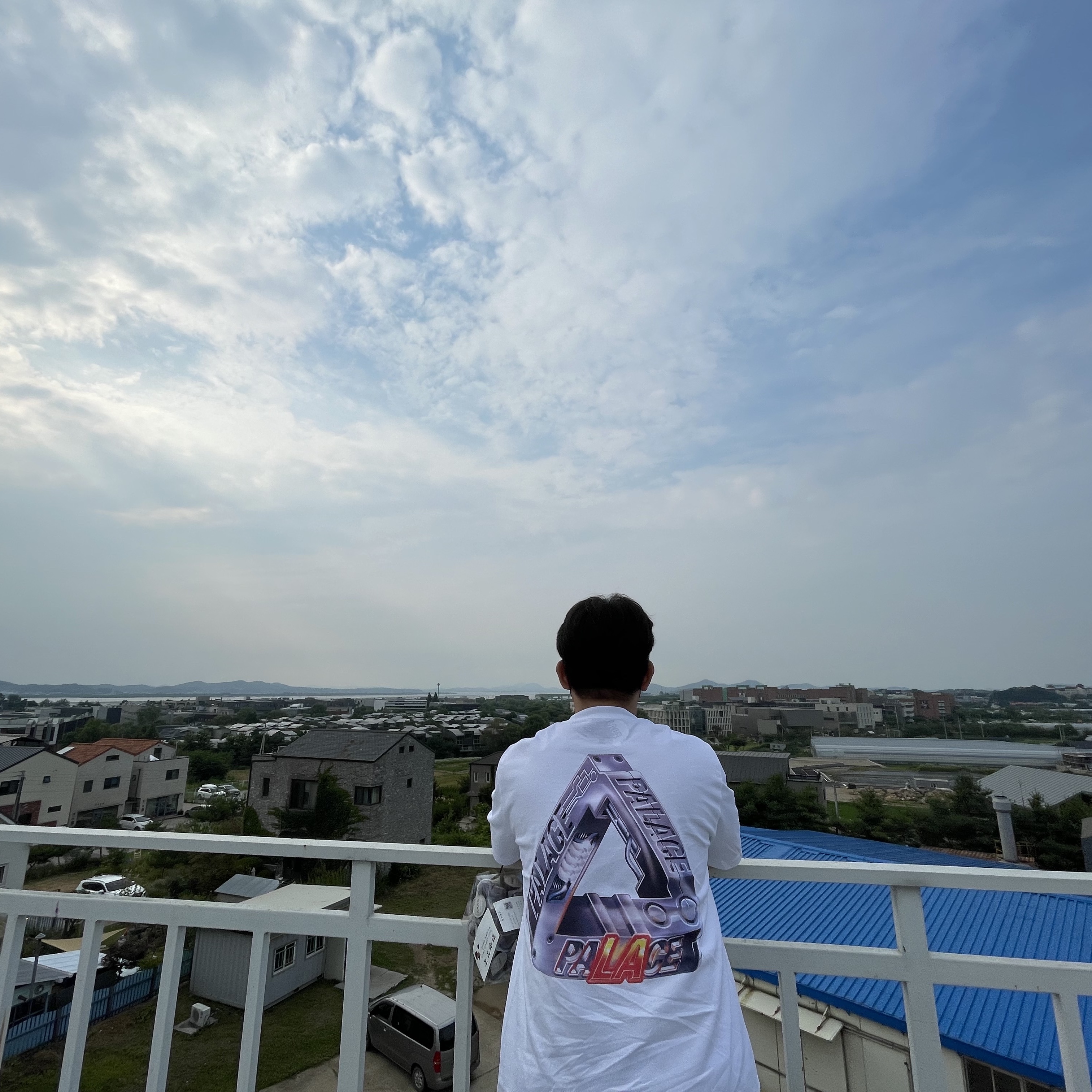 Jordan 1 Retro High OG Defiant SB LA to Chicago, Palace LA Opening Tri Ferg T-Shirt White - 19SS 착용 스타일 - 2