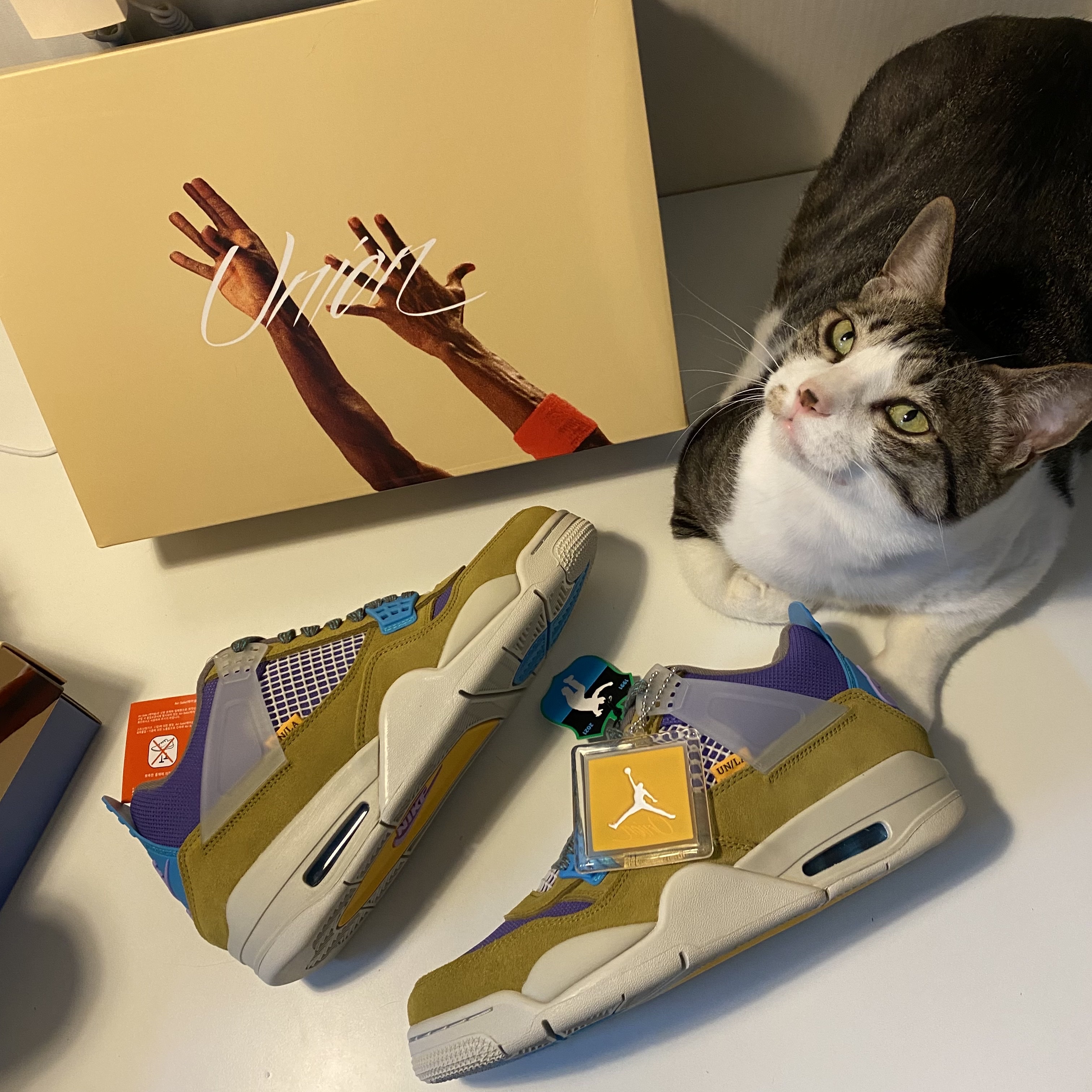 Jordan 4 x Union Retro SP Desert Moss 착용 스타일 - 4