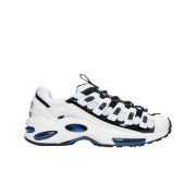 Puma Cell Endura Patent 98 Surf The Web