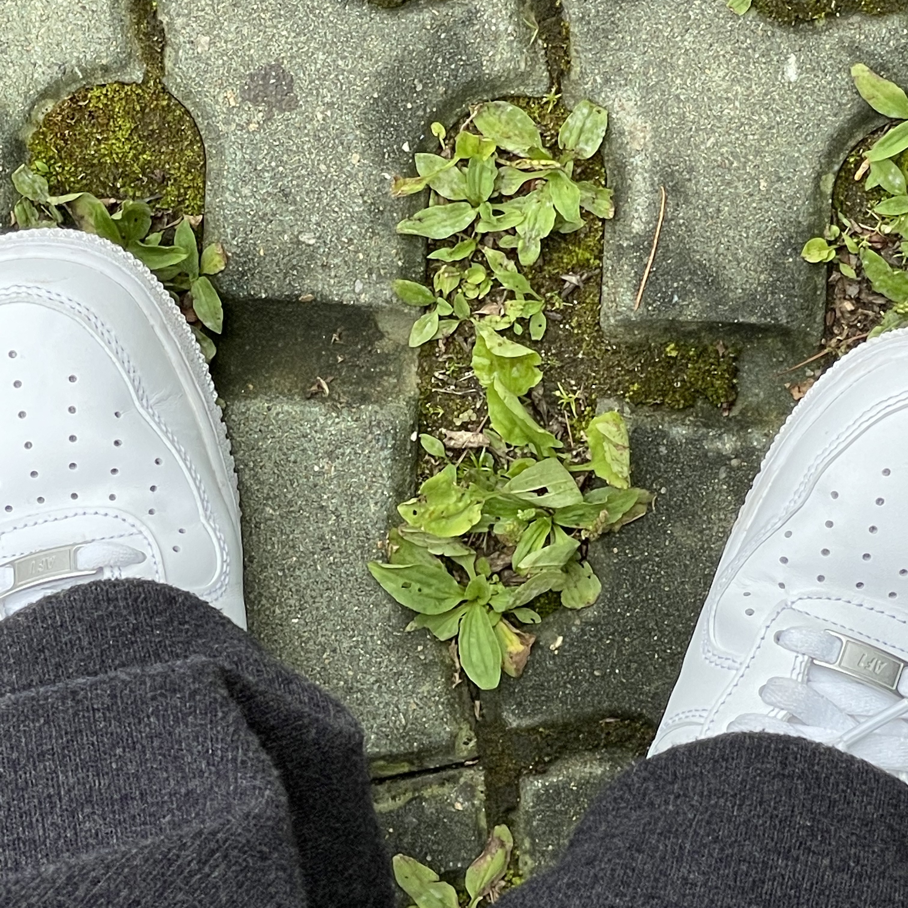 Nike Air Force 1 '07 Low White 착용 스타일