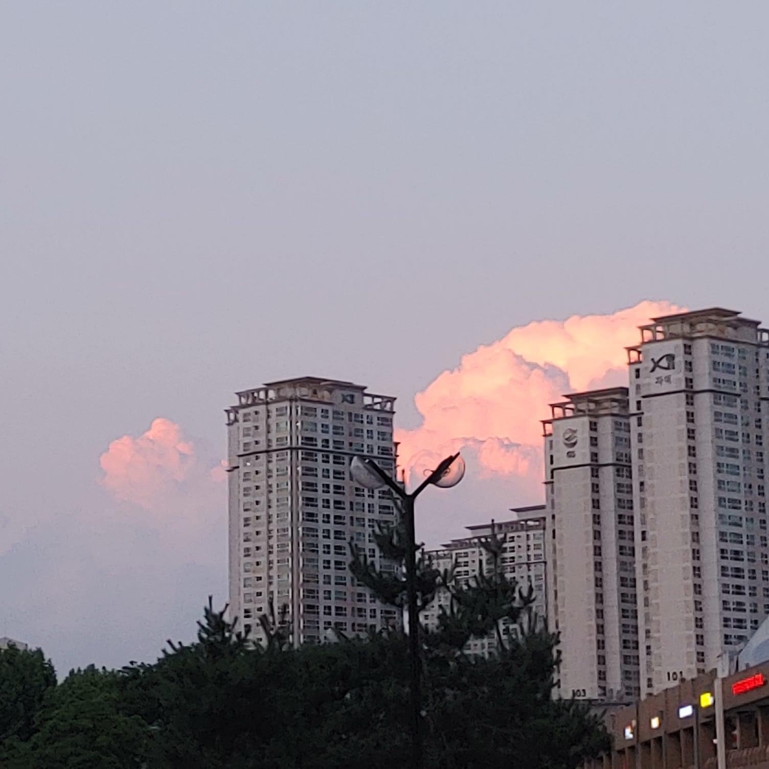 Nike Dunk Low Retro Black 착용 스타일 - 2