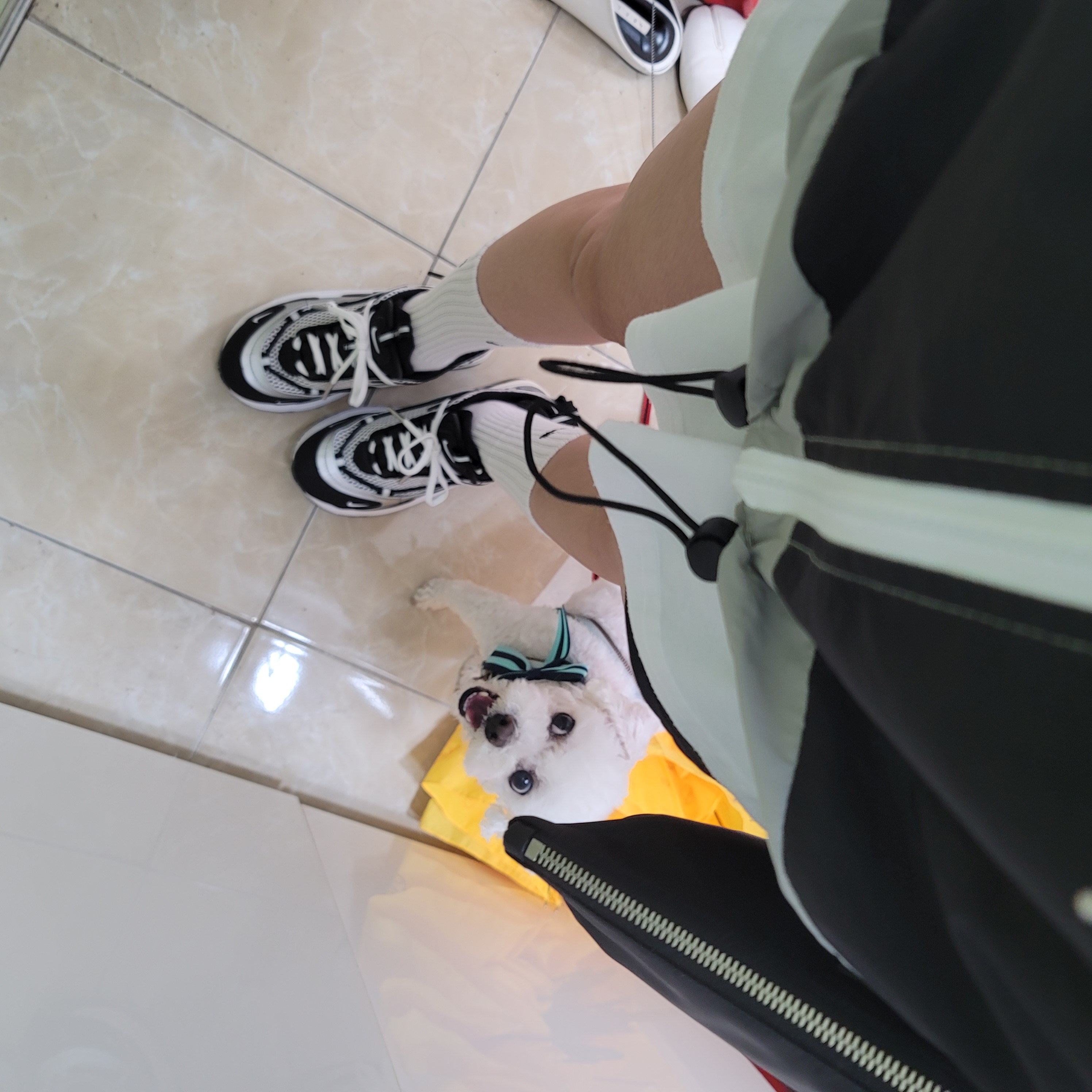 담이누나님의 스타일