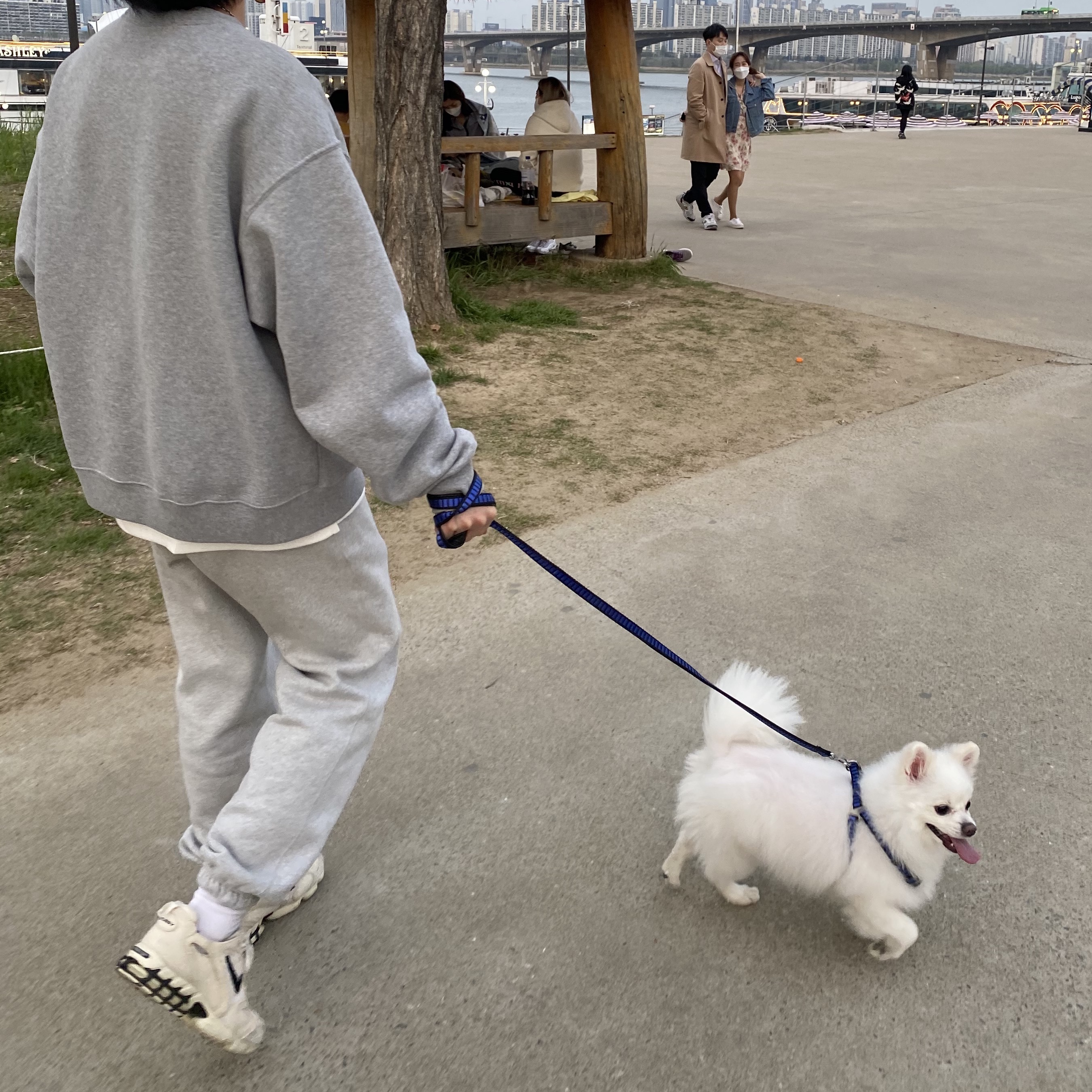 Nike x Stussy Air Zoom Spiridon Cage 2 Fossil, Nike NRG Solo Swoosh Fleece Pants Dark Grey Heather - US/EU 착용 스타일
