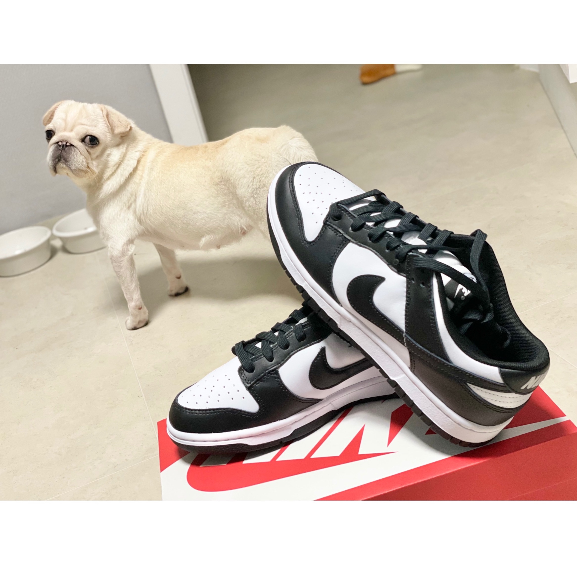 Nike Dunk Low Retro Black 착용 스타일