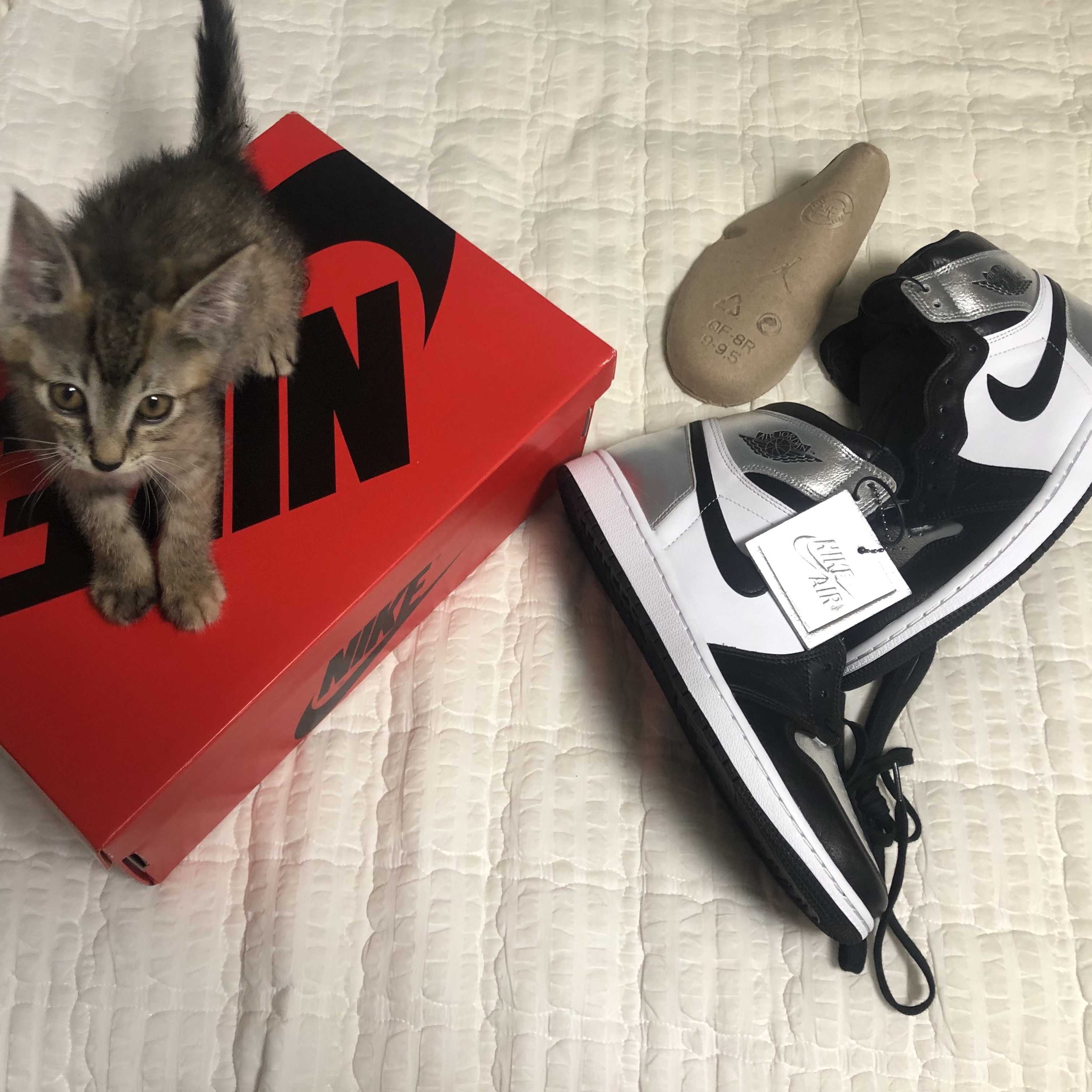 (W) Jordan 1 Retro High OG Silver Toe 착용 스타일