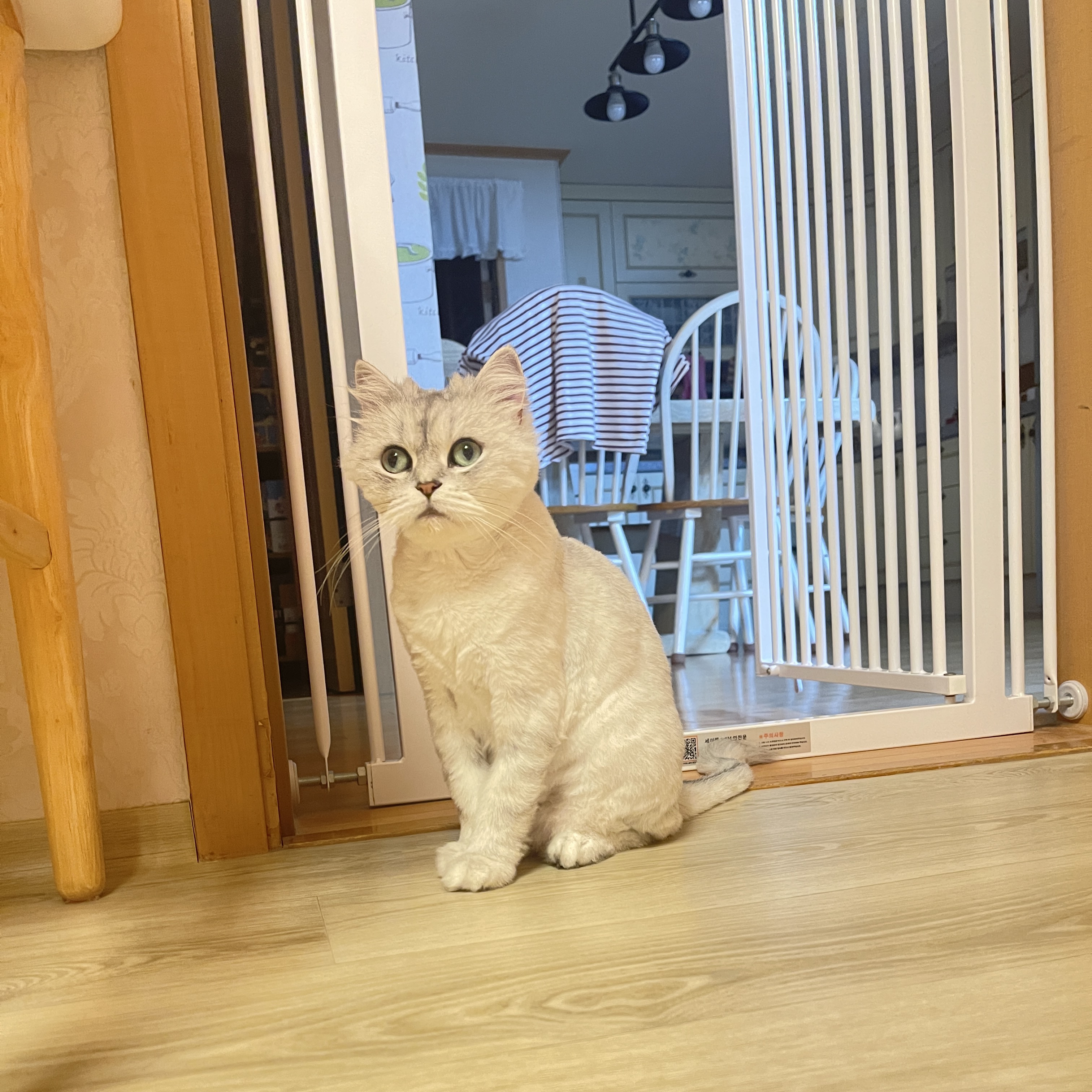 dkberserk님의 스타일