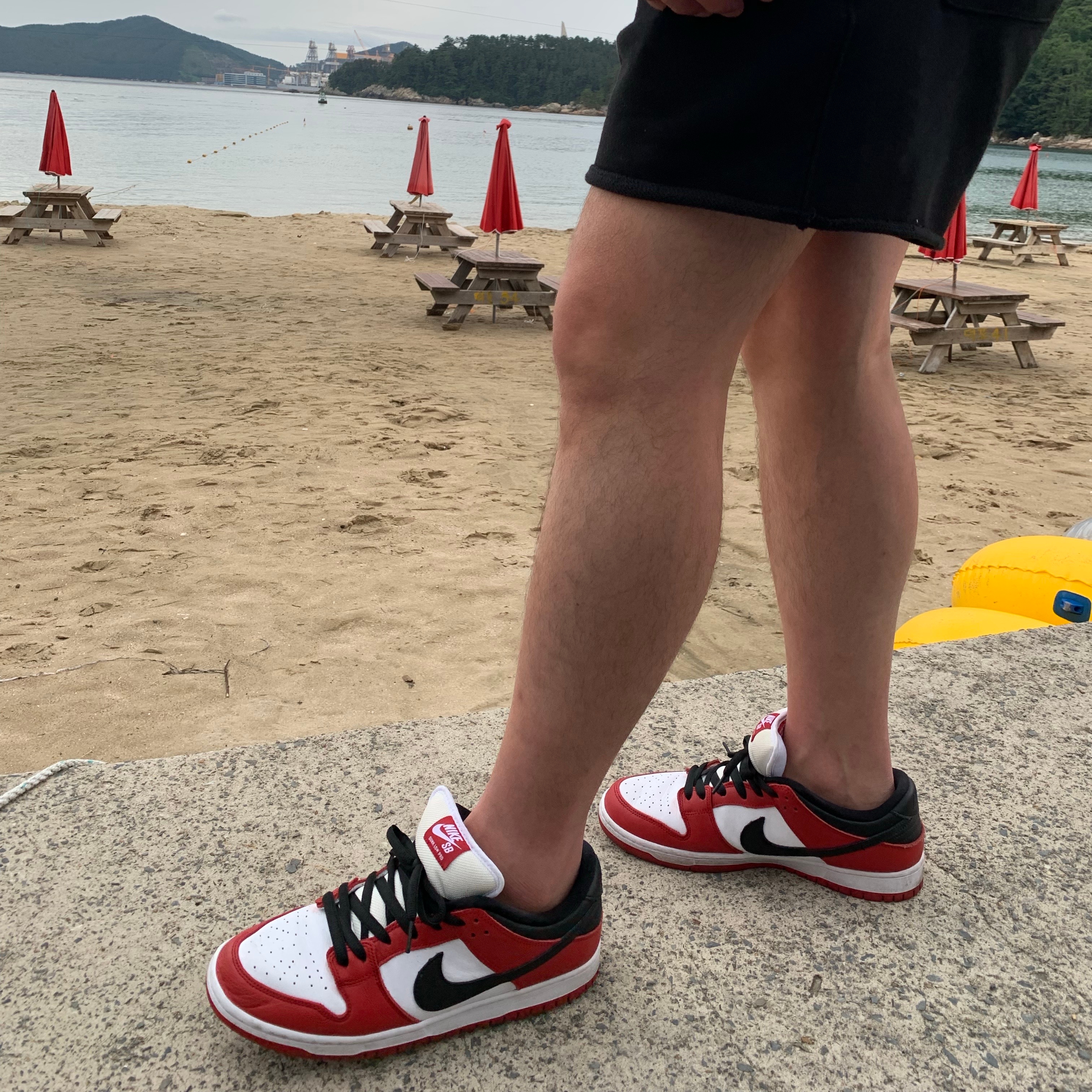 Nike SB Dunk Low Pro Chicago 착용 스타일 - 1