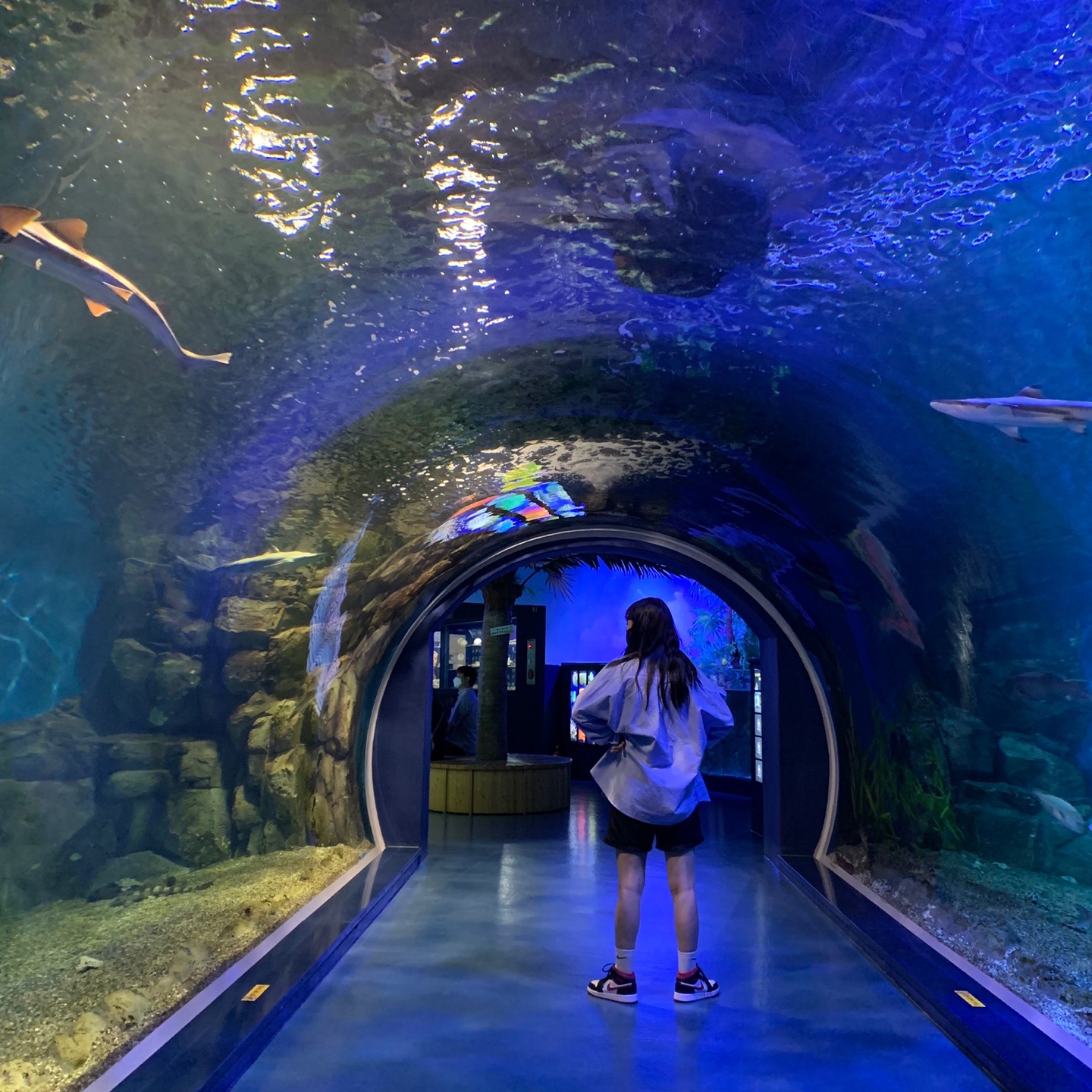 (GS) Jordan 1 Mid Gym Red Black White 착용 스타일