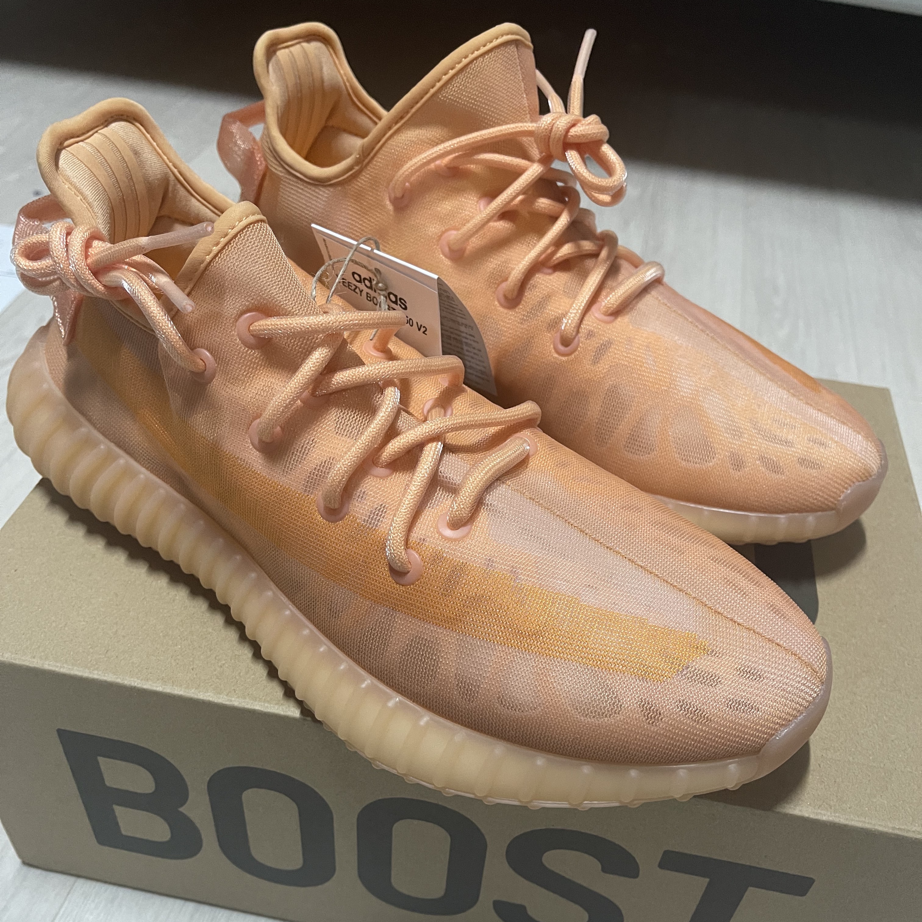 Adidas Yeezy Boost 350 V2 Mono Clay 착용 스타일