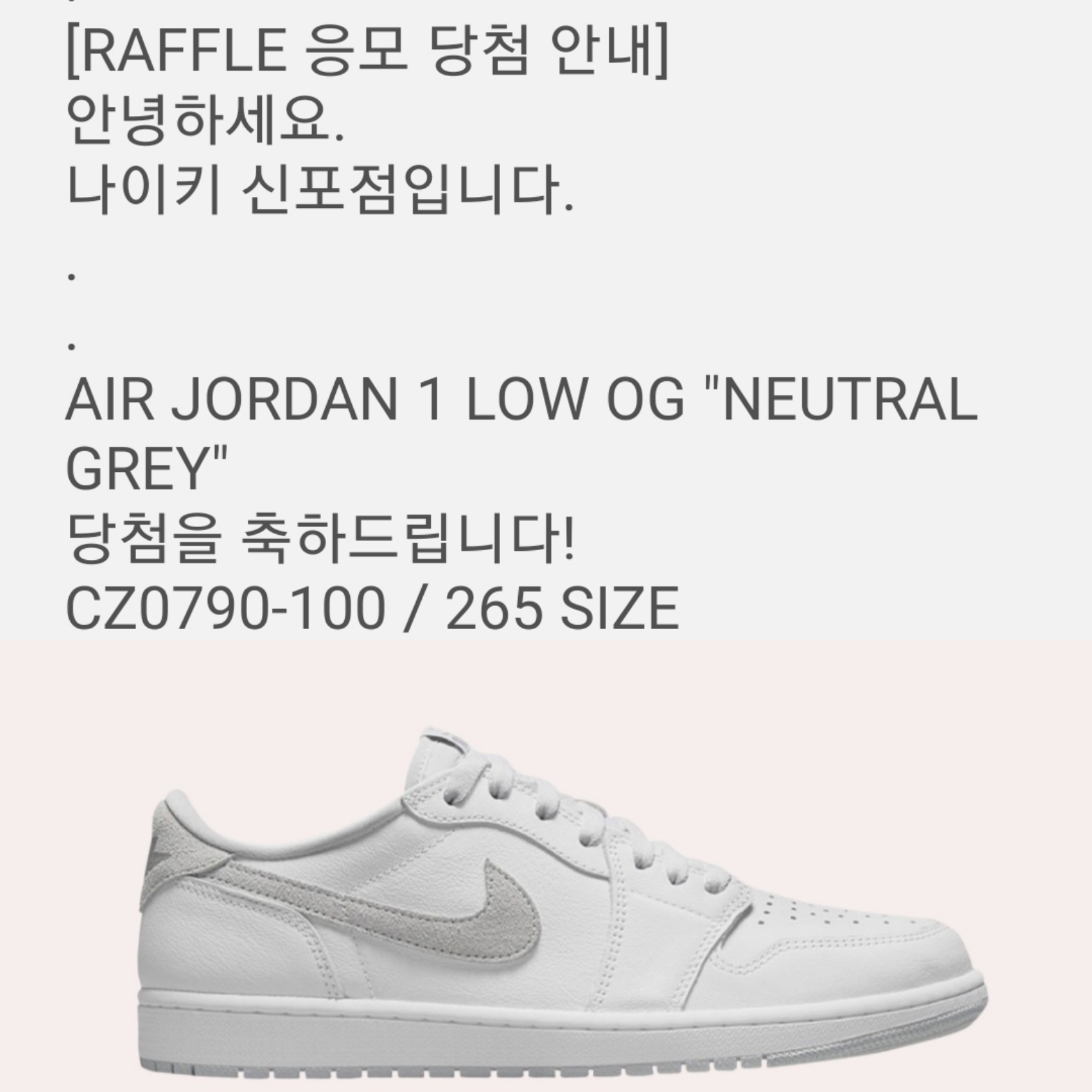 Jordan 1 Low OG Neutral Grey 착용 스타일