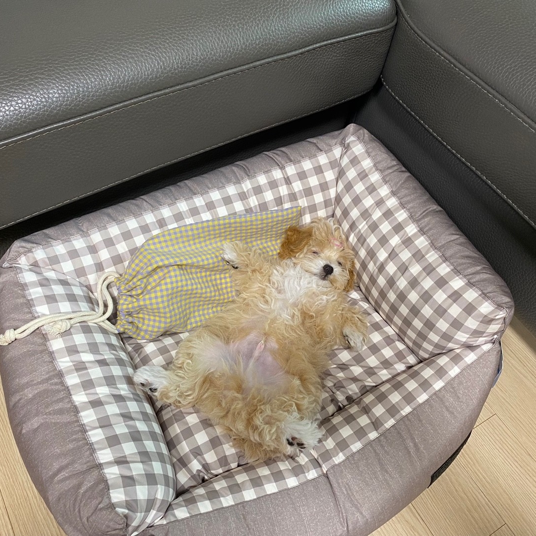 jj7452님의 스타일 - 2