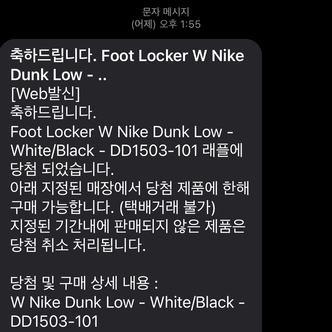 (W) Nike Dunk Low Black, Nike Dunk High Retro Black and White 착용 스타일 - 1