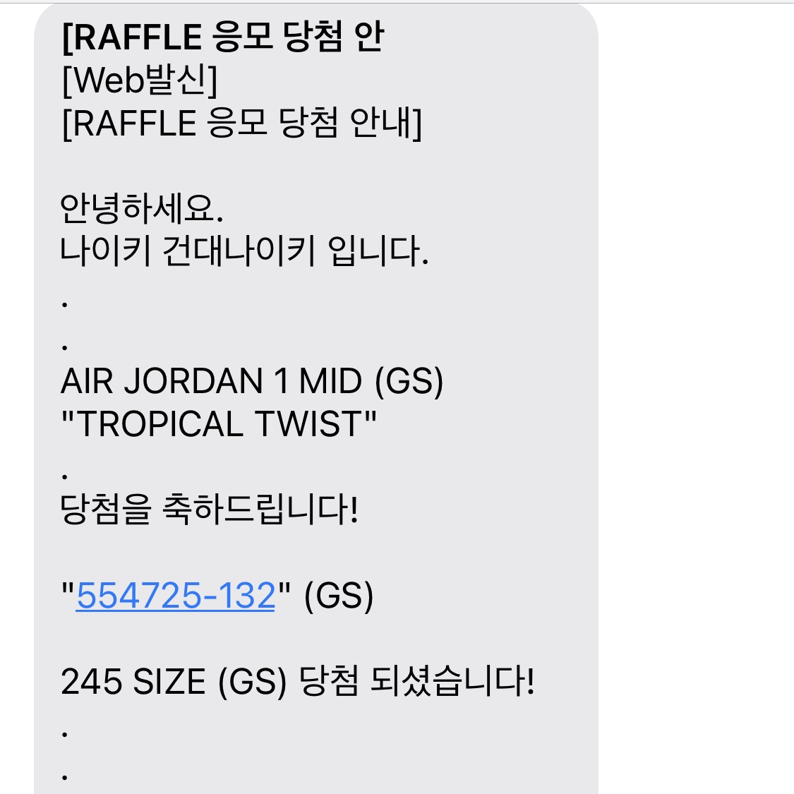 (GS) Jordan 1 Mid Tropical Twist 착용 스타일 - 2