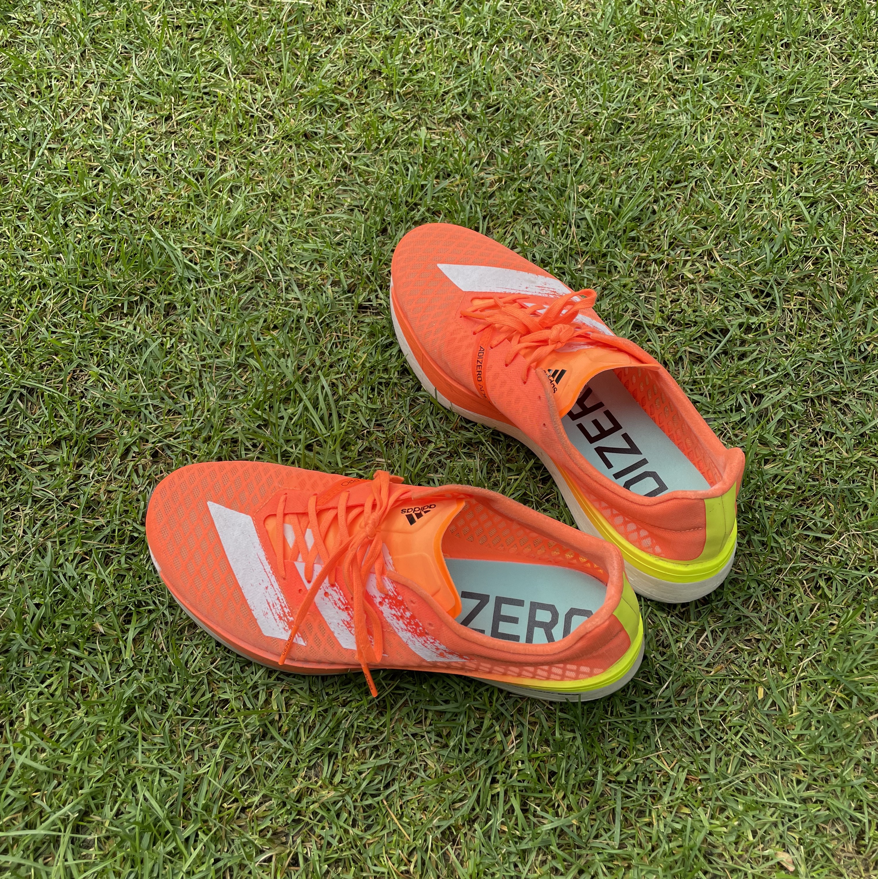 Adidas Adizero Adios Pro Dream Mile 착용 스타일