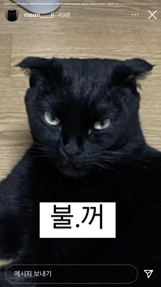 KREAM 프로필 이미지