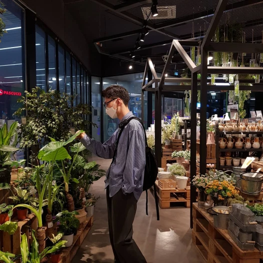 스타일 카드