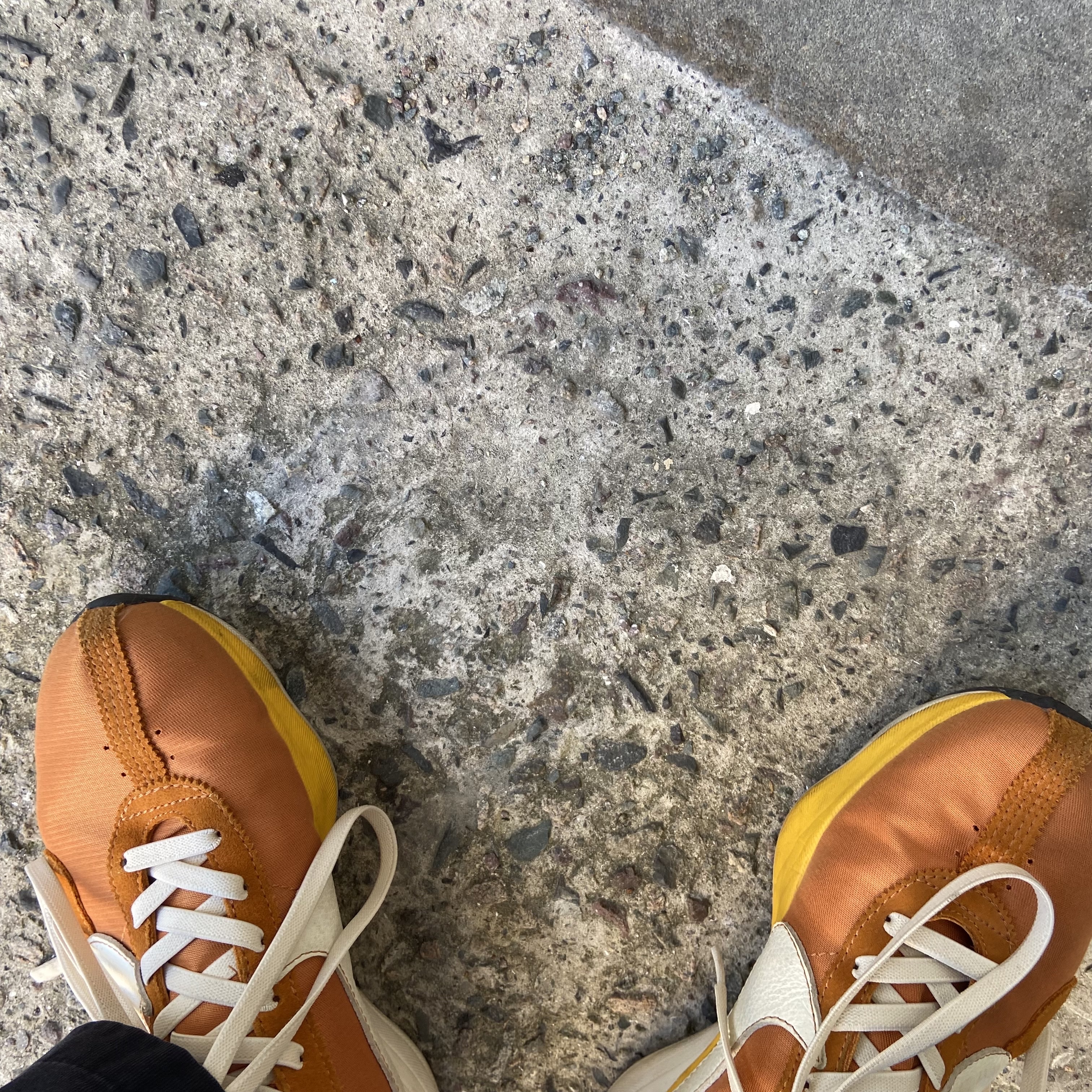 Nike Moon Racer Monarch 착용 스타일