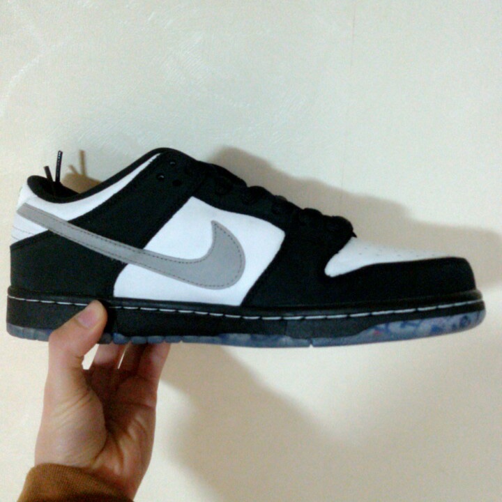 Nike x Staple SB Dunk Low Panda Pigeon 착용 스타일