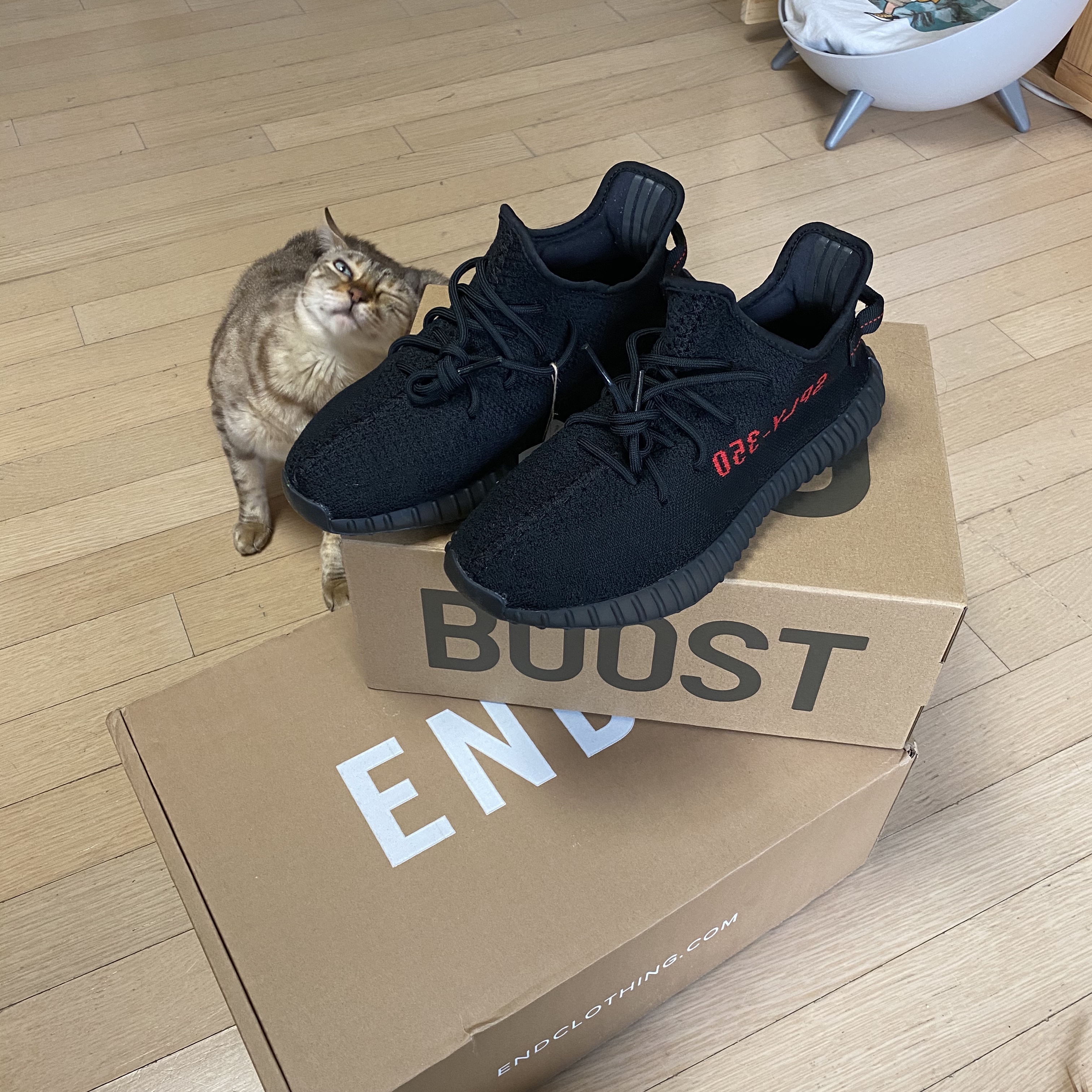 Adidas Yeezy Boost 350 V2 Black Red 2020 착용 스타일