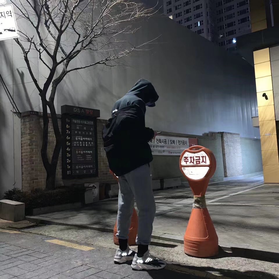 Adidas Yeezy Boost 700 Wave Runner Solid Grey 2017/2019 착용 스타일