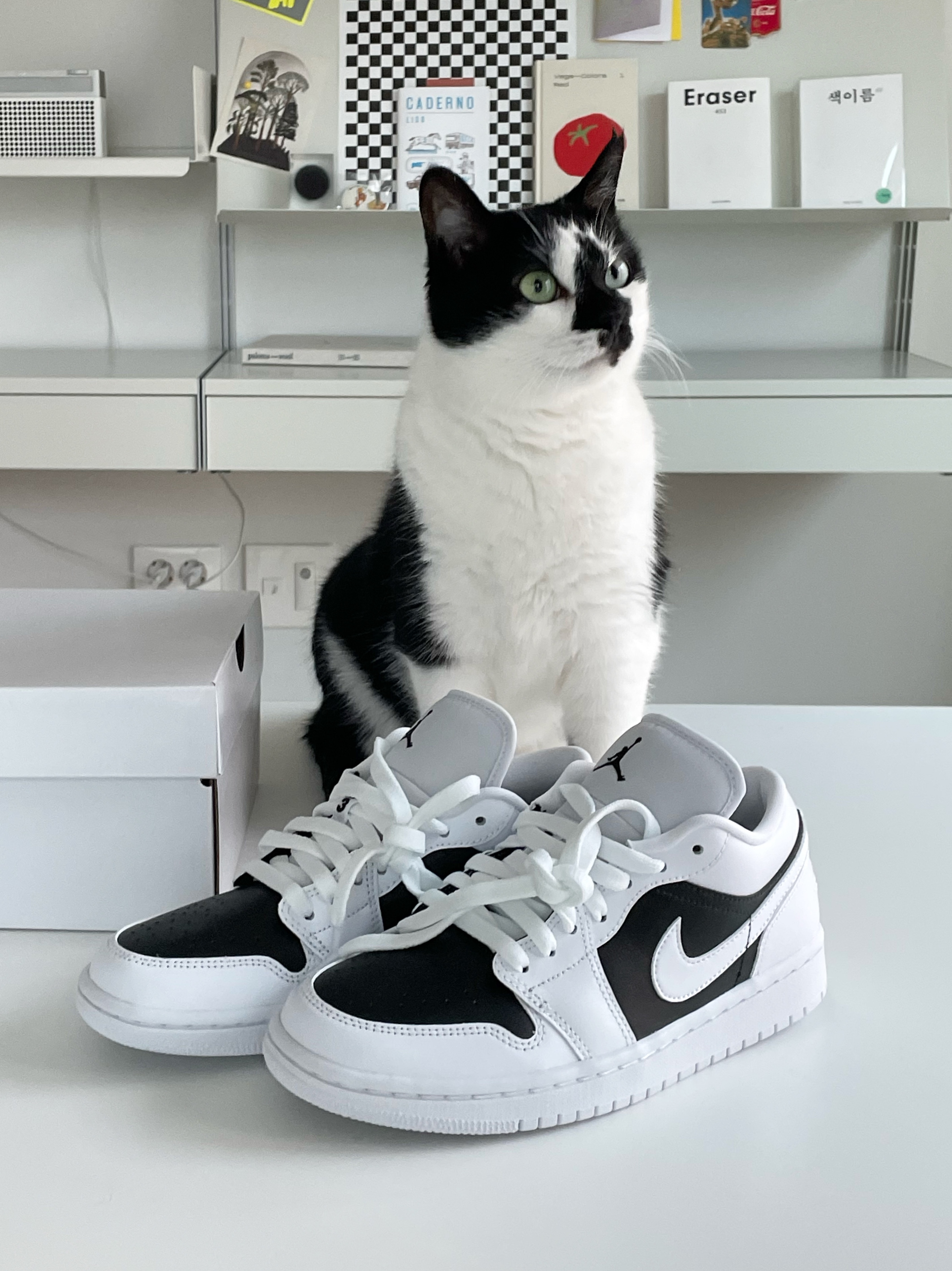 (W) Jordan 1 Low Panda 착용 스타일