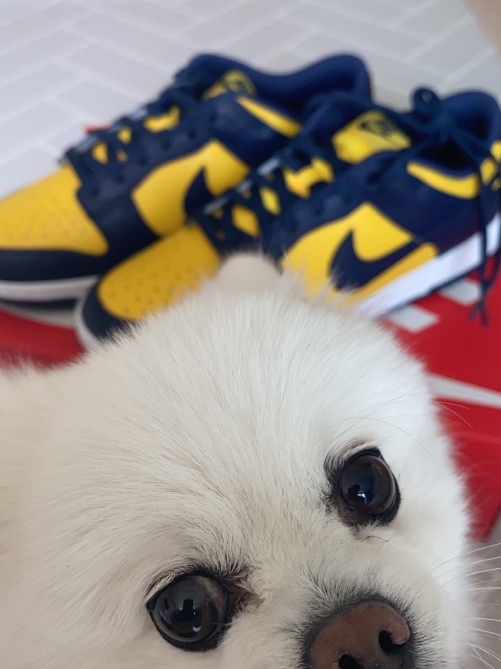 Nike Dunk Low Retro Varsity Maize 착용 스타일