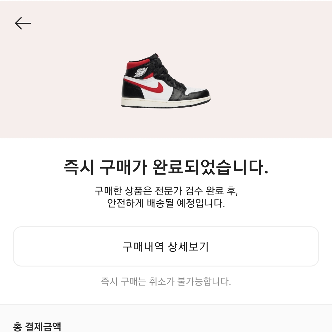 Jordan 1 Retro High OG Shadow 2.0 착용 스타일 - 2