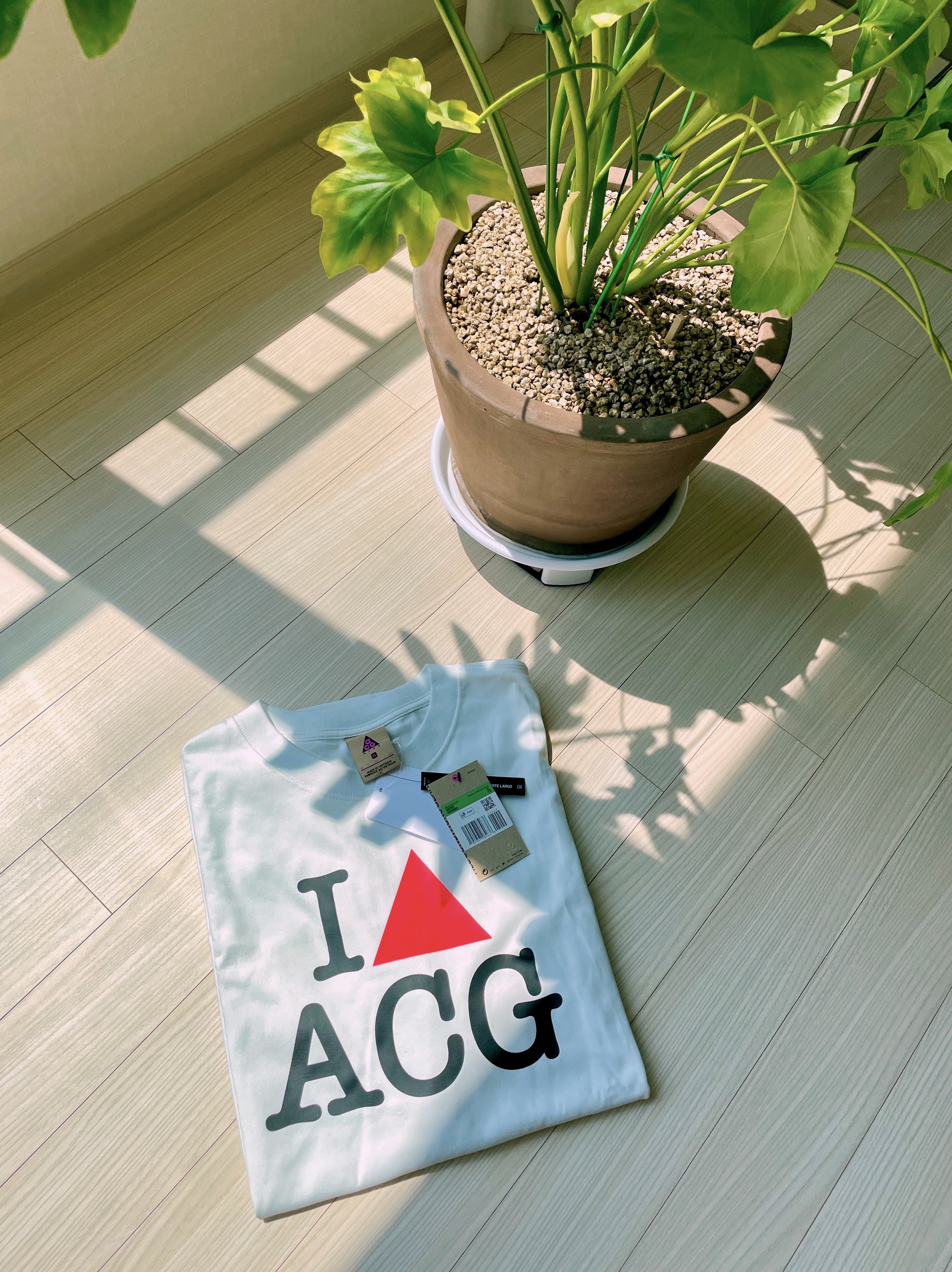 Nike NRG Heart ACG T-Shirt White - US/EU 착용 스타일
