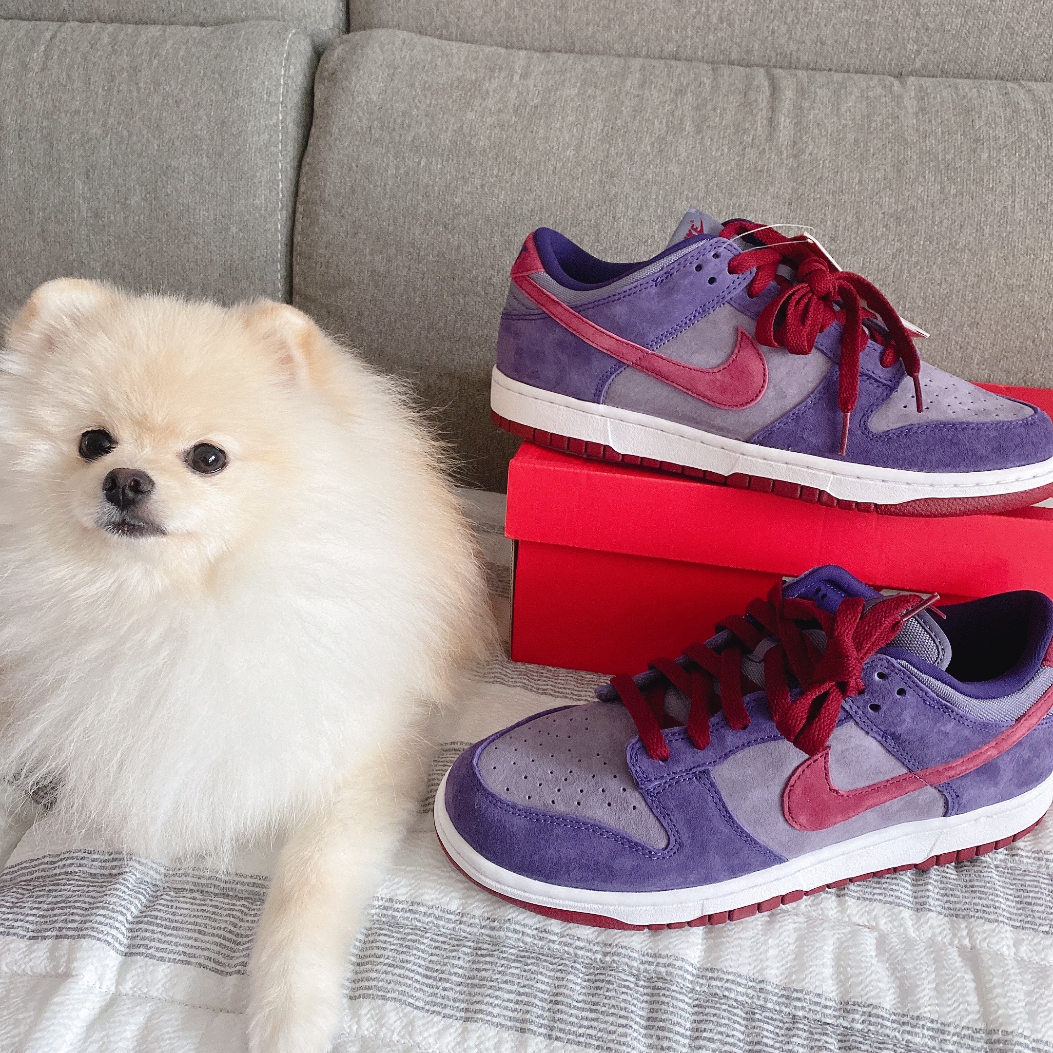 Nike Dunk Low SP Plum 2020 착용 스타일 - 2