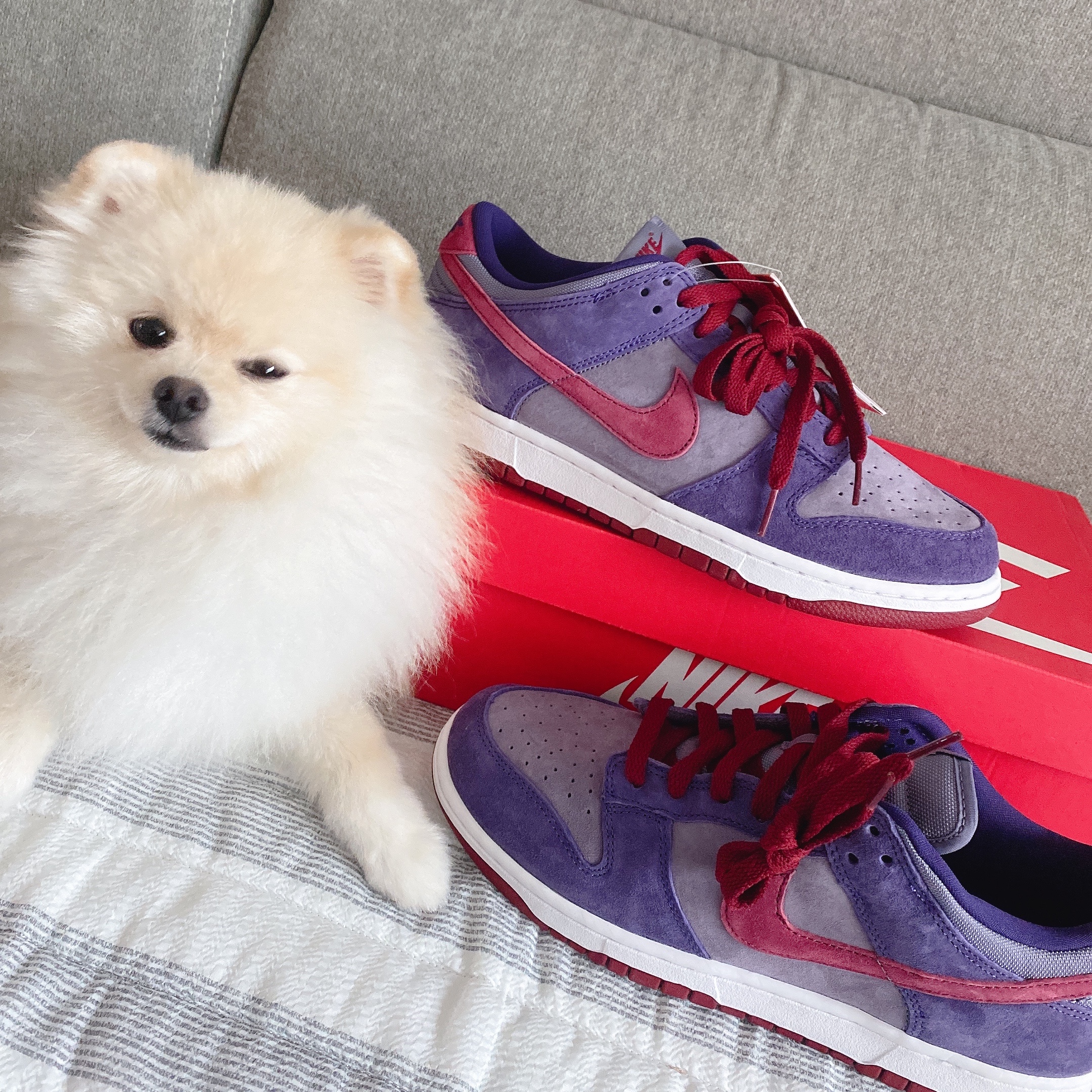Nike Dunk Low SP Plum 2020 착용 스타일 - 3