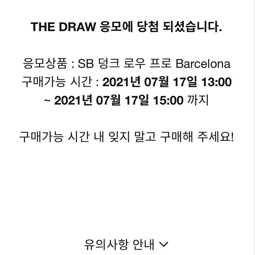 Nike SB Dunk Low Pro Premium Barcelona 착용 스타일