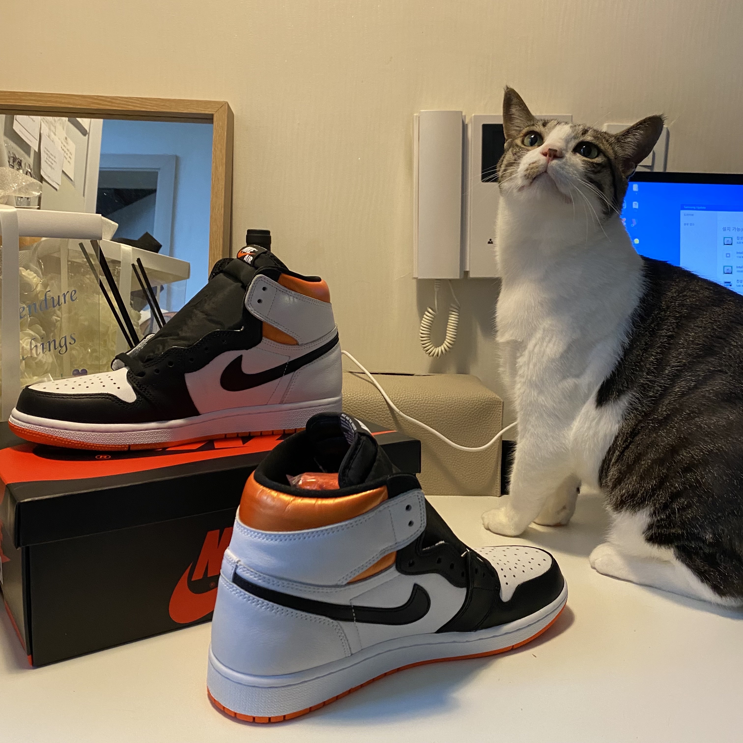 Jordan 1 Retro High OG Electro Orange 착용 스타일 - 2