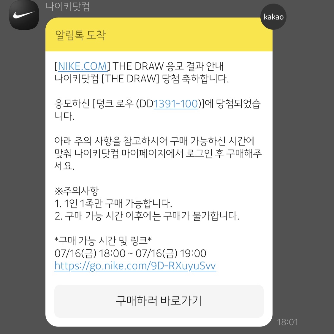 Nike Dunk Low Retro Black 착용 스타일